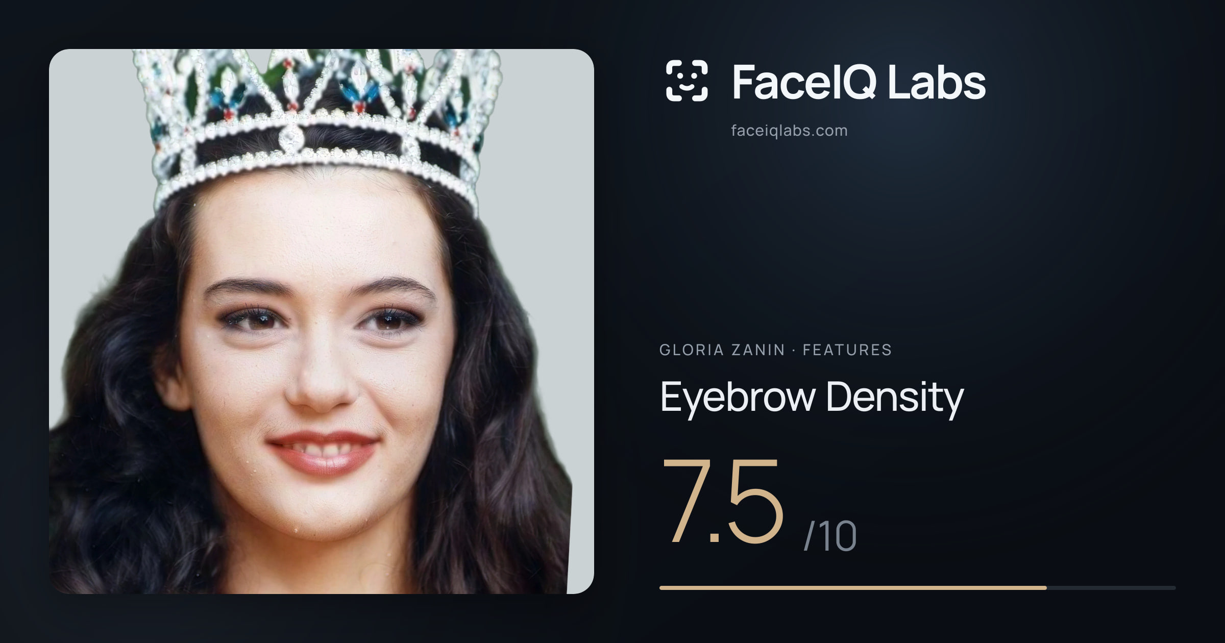 Gloria Zanin Eyebrow Density: 7.5/10, drawn on the photo