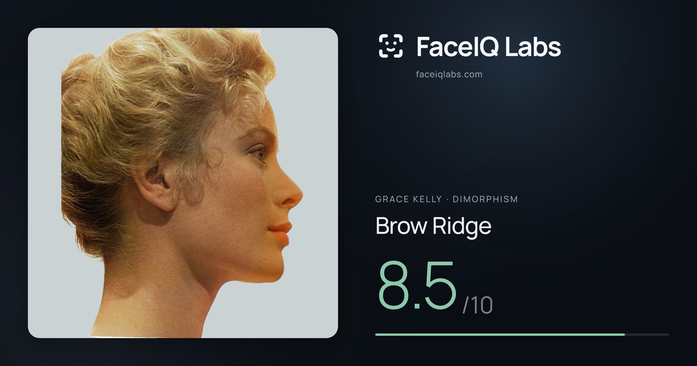 Grace Kelly Brow Ridge: 8.5/10, drawn on the photo