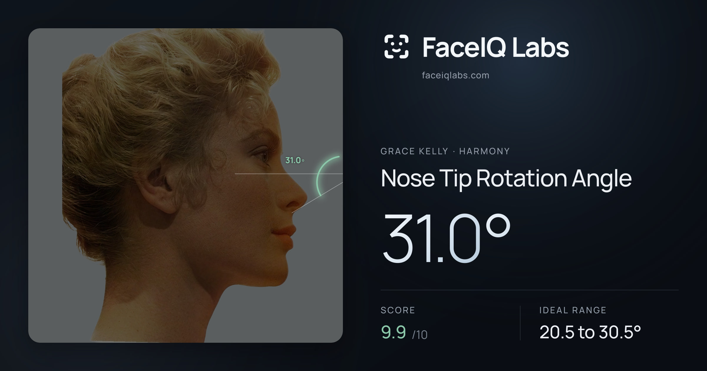Grace Kelly Nose Tip Rotation Angle: 31.0°, drawn on the photo