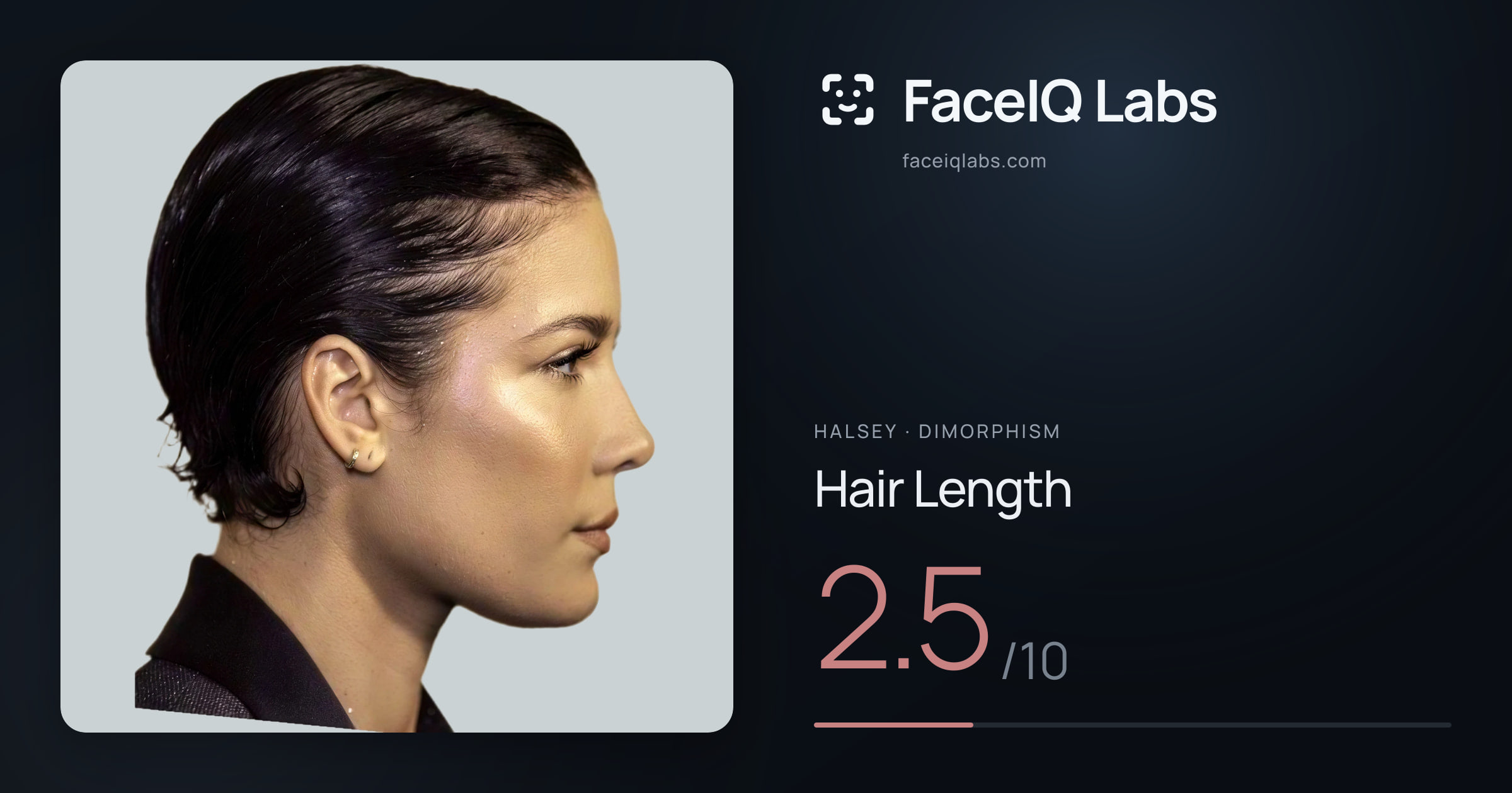 Halsey Hair Length: 2.5/10, drawn on the photo