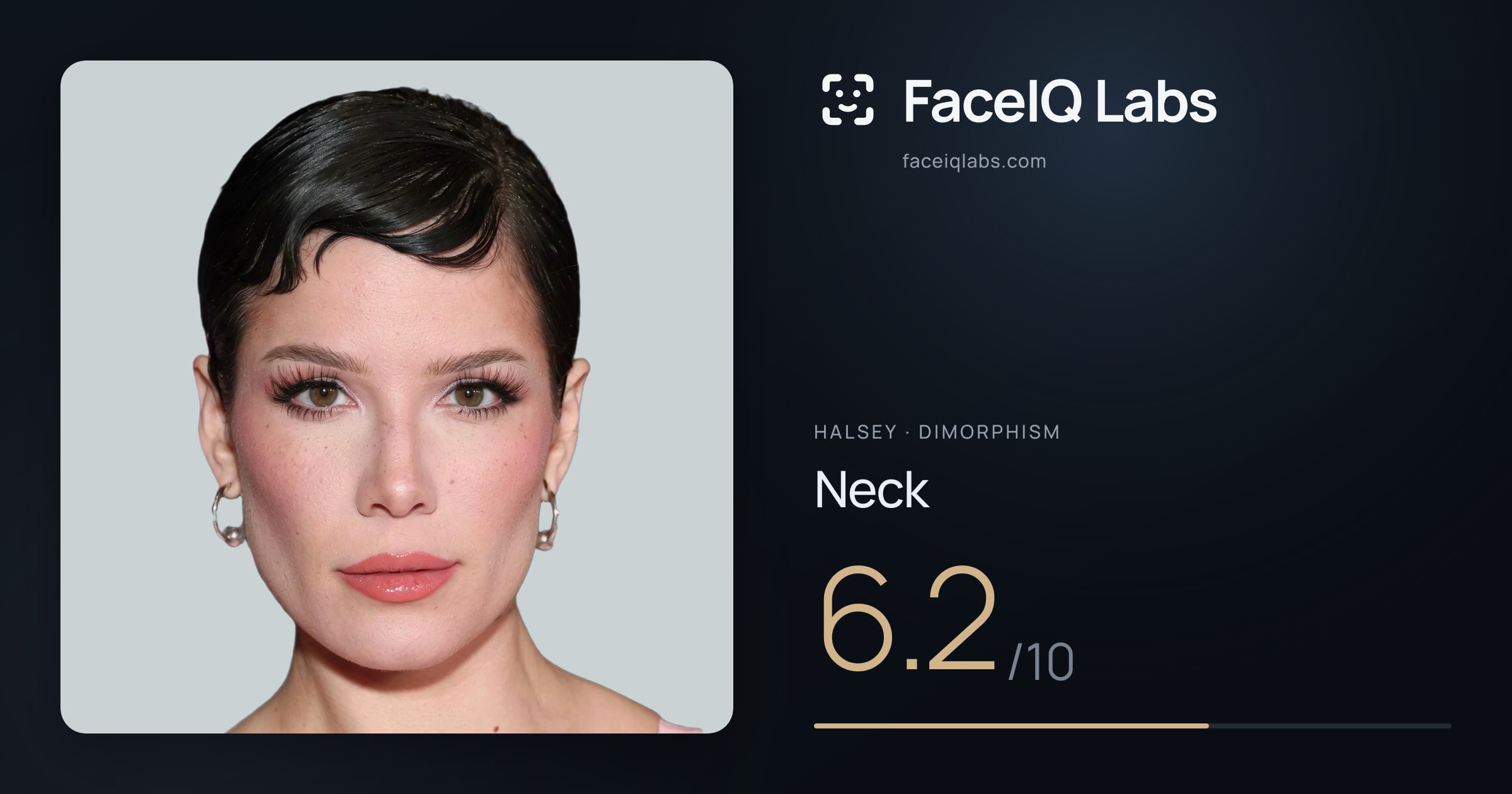 Halsey Neck: 6.2/10, drawn on the photo