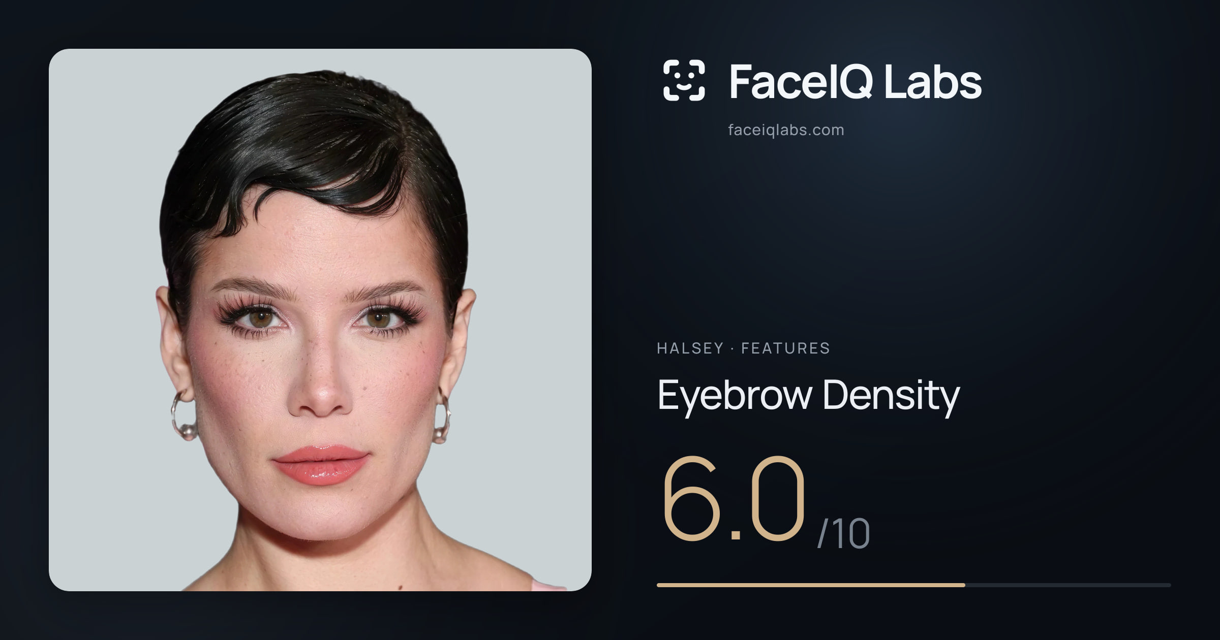 Halsey Eyebrow Density: 6.0/10, drawn on the photo