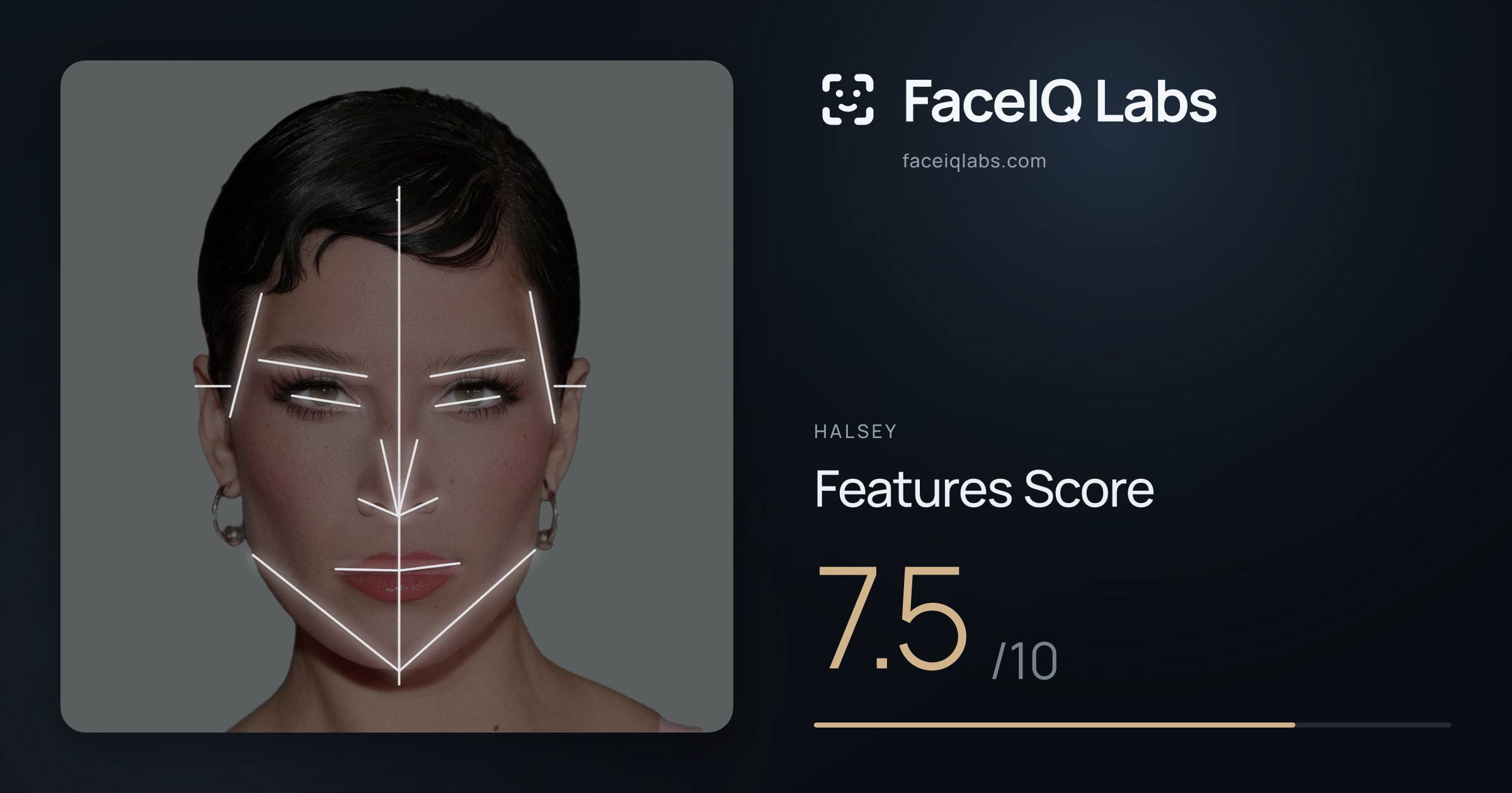 Halsey Features: 7.5/10, with each assessment drawn on the photo