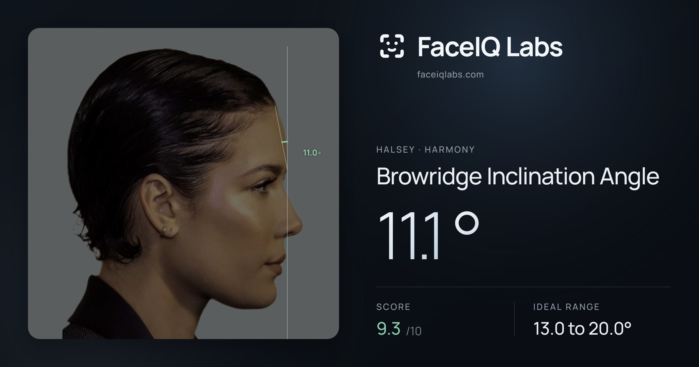 Halsey Browridge Inclination Angle: 11.1°, drawn on the photo