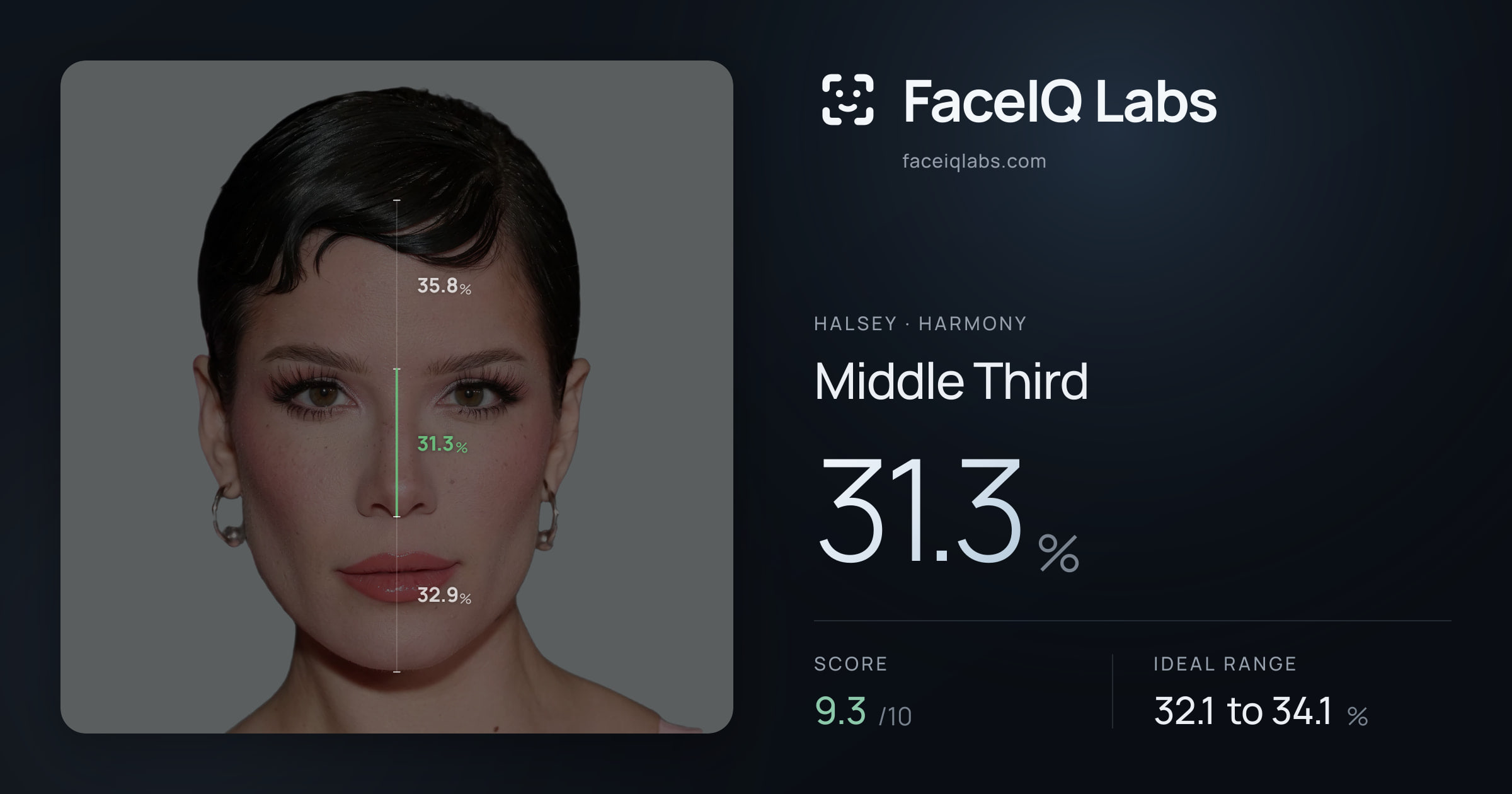 Halsey Middle Third: 31.3%, drawn on the photo