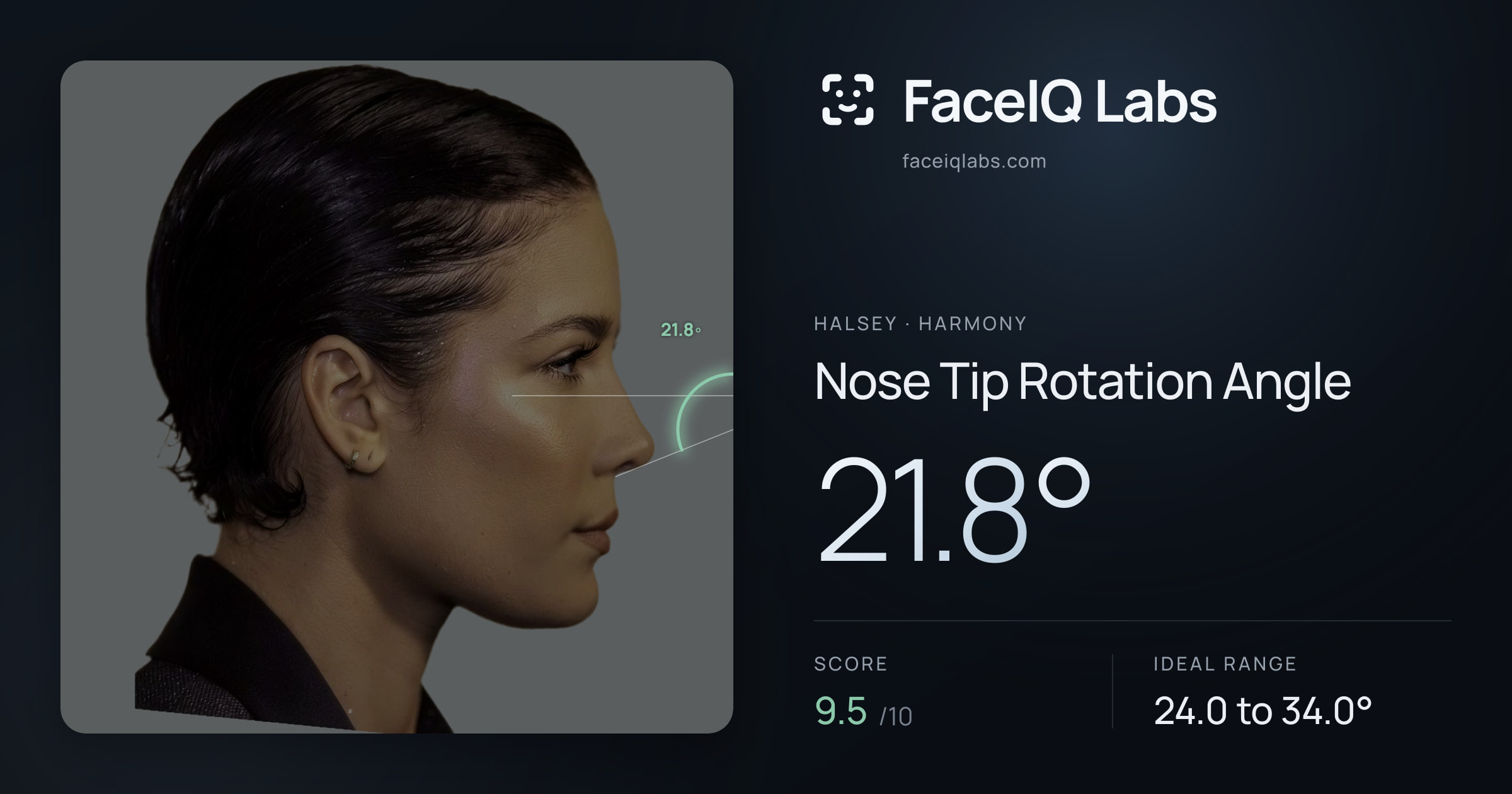 Halsey Nose Tip Rotation Angle: 21.8°, drawn on the photo