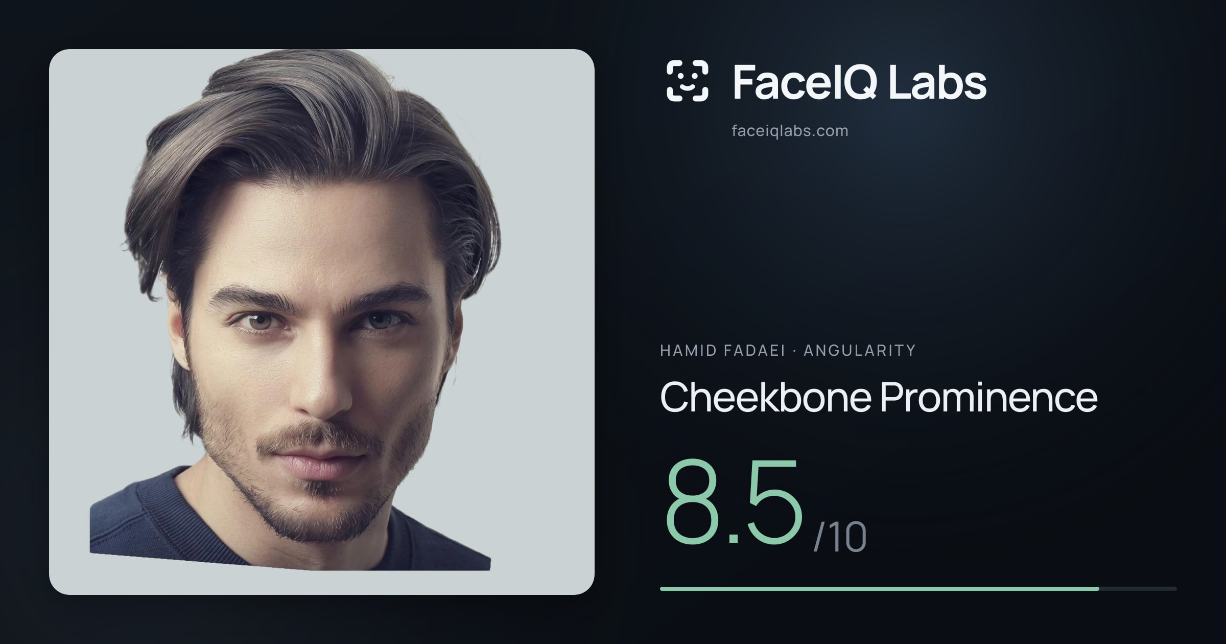 Hamid Fadaei Cheekbone Prominence: 8.5/10, drawn on the photo