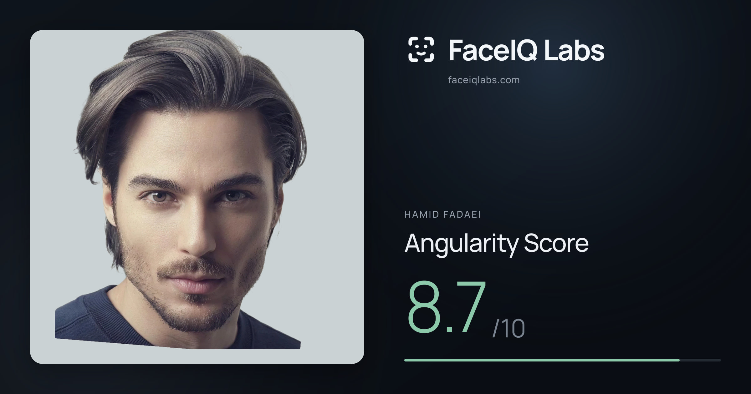 Hamid Fadaei Angularity: 8.7/10, with each assessment drawn on the photo