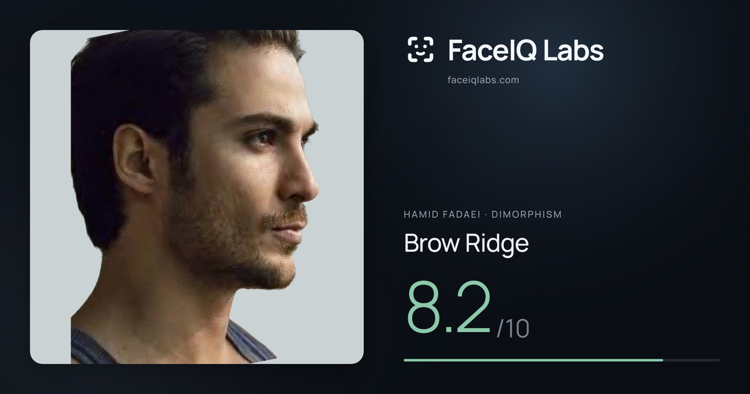 Hamid Fadaei Brow Ridge: 8.2/10, drawn on the photo