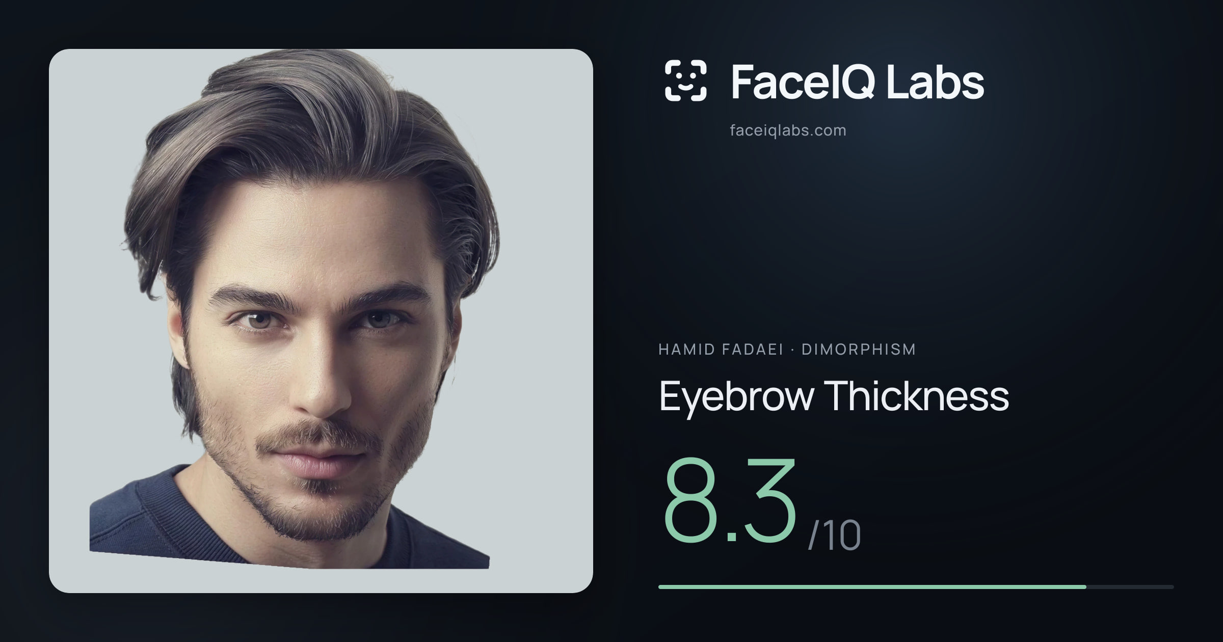 Hamid Fadaei Eyebrow Thickness: 8.3/10, drawn on the photo