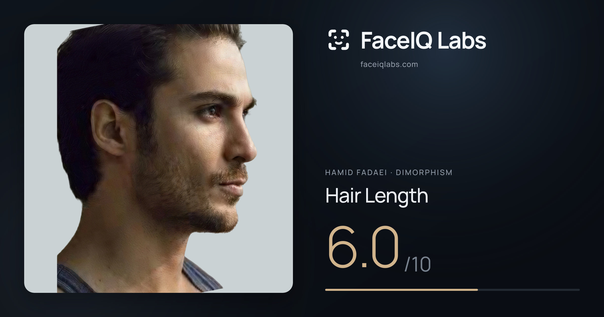 Hamid Fadaei Hair Length: 6.0/10, drawn on the photo