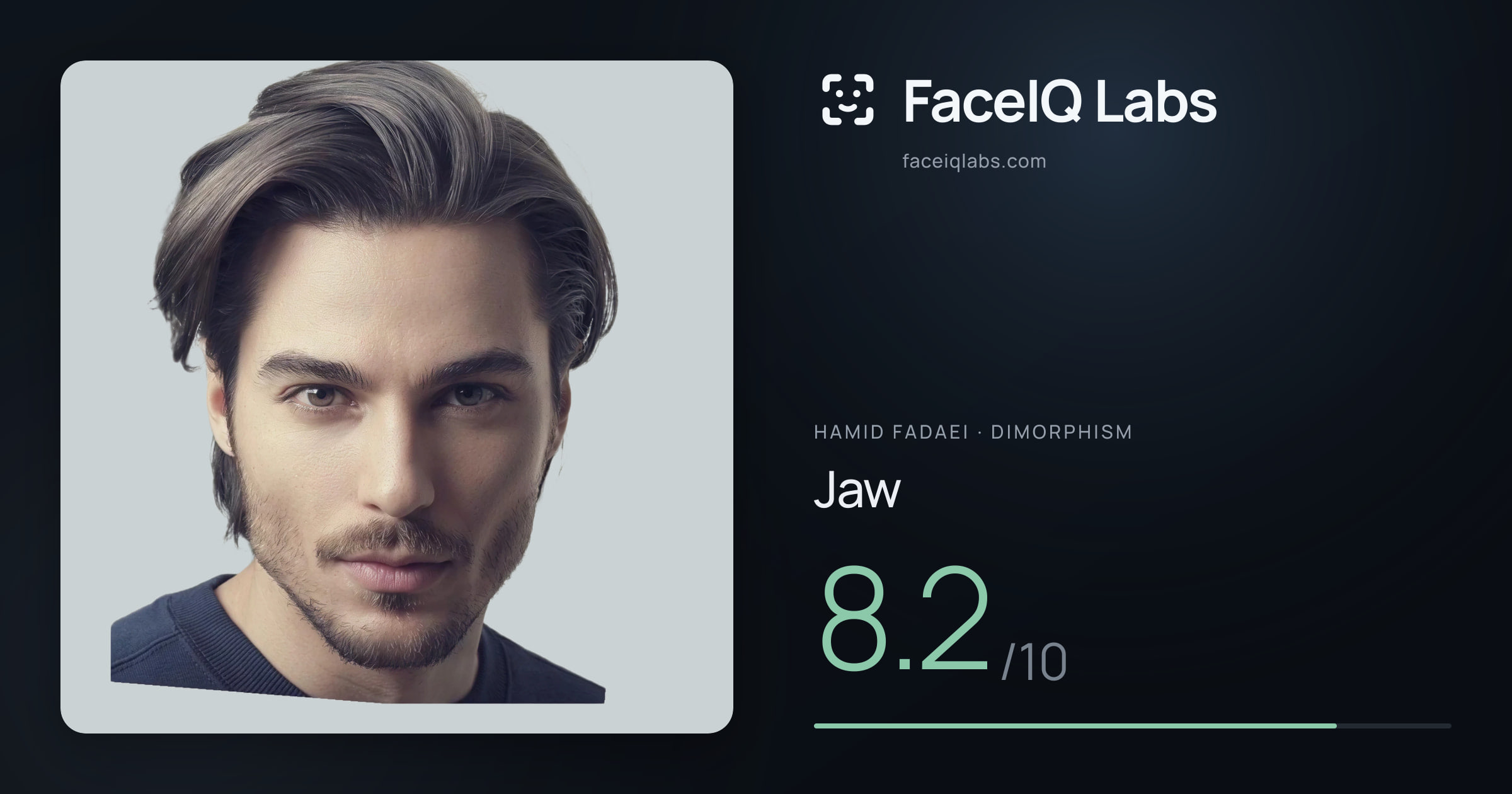 Hamid Fadaei Jaw: 8.2/10, drawn on the photo