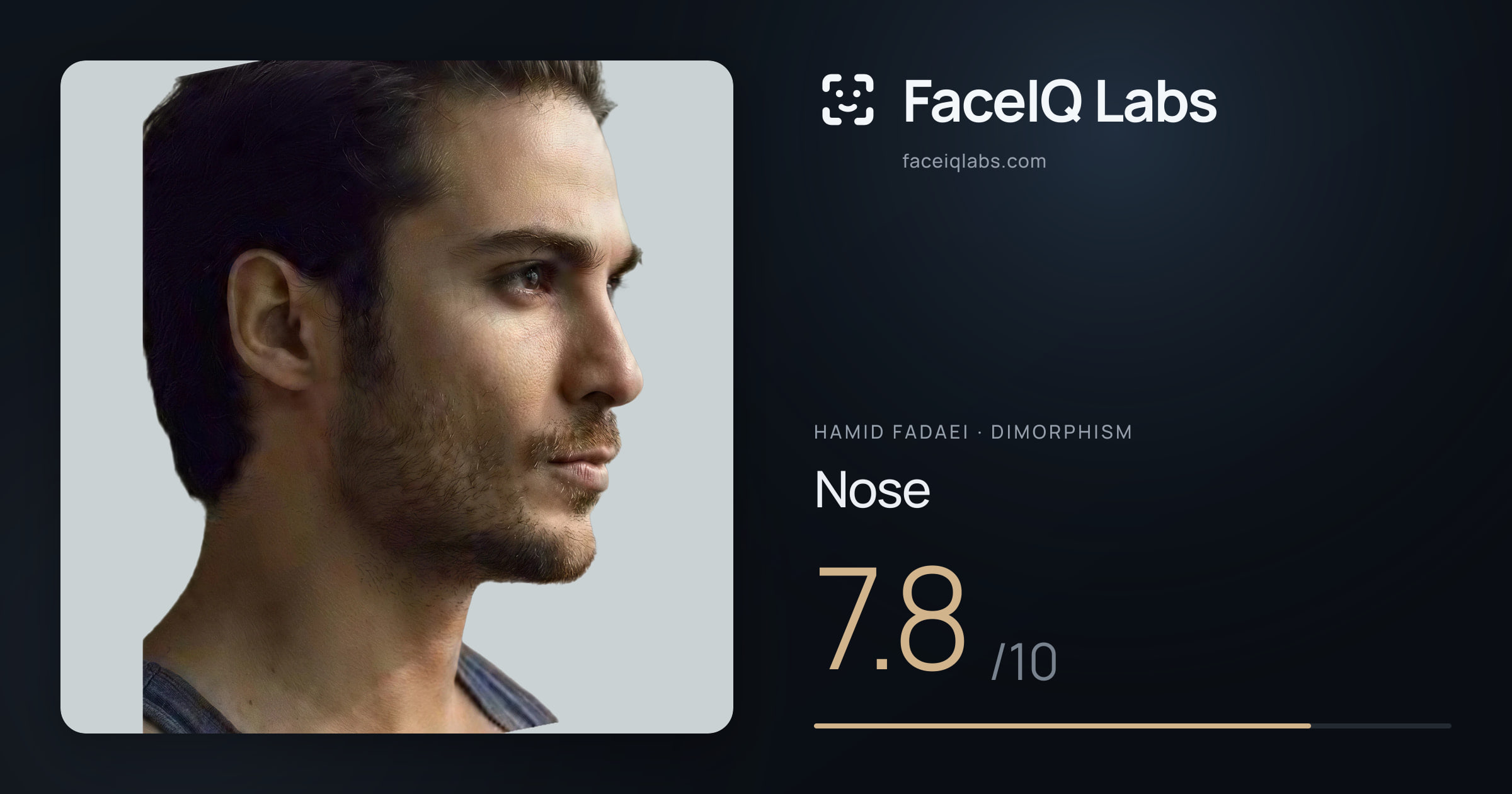 Hamid Fadaei Nose: 7.8/10, drawn on the photo