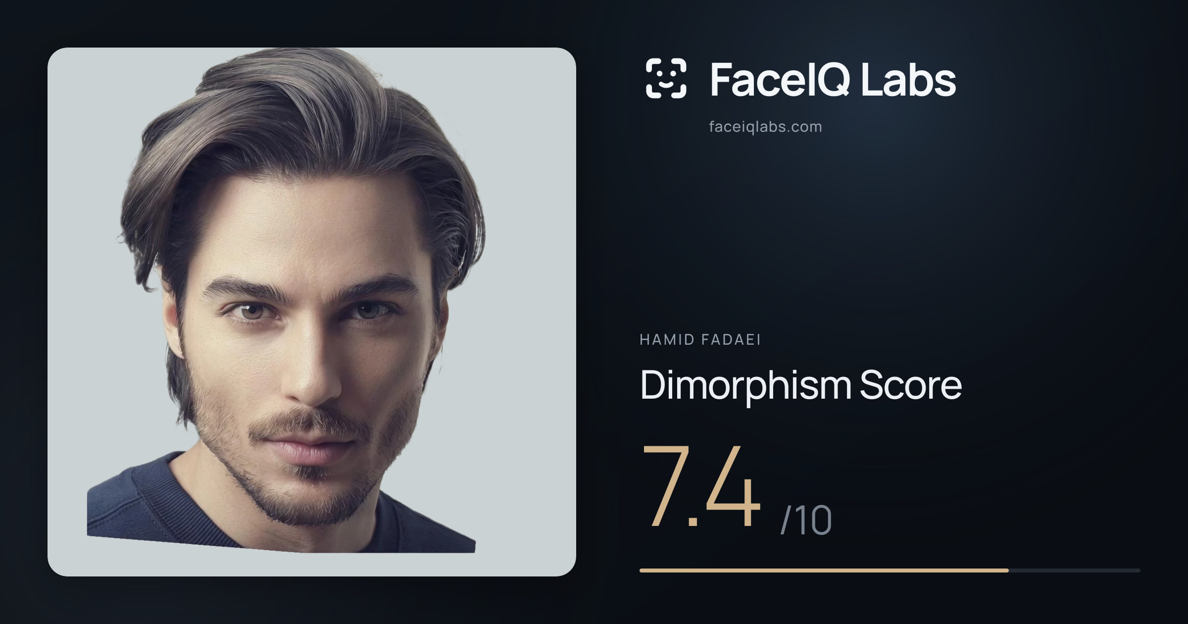 Hamid Fadaei Dimorphism: 7.4/10, with each assessment drawn on the photo