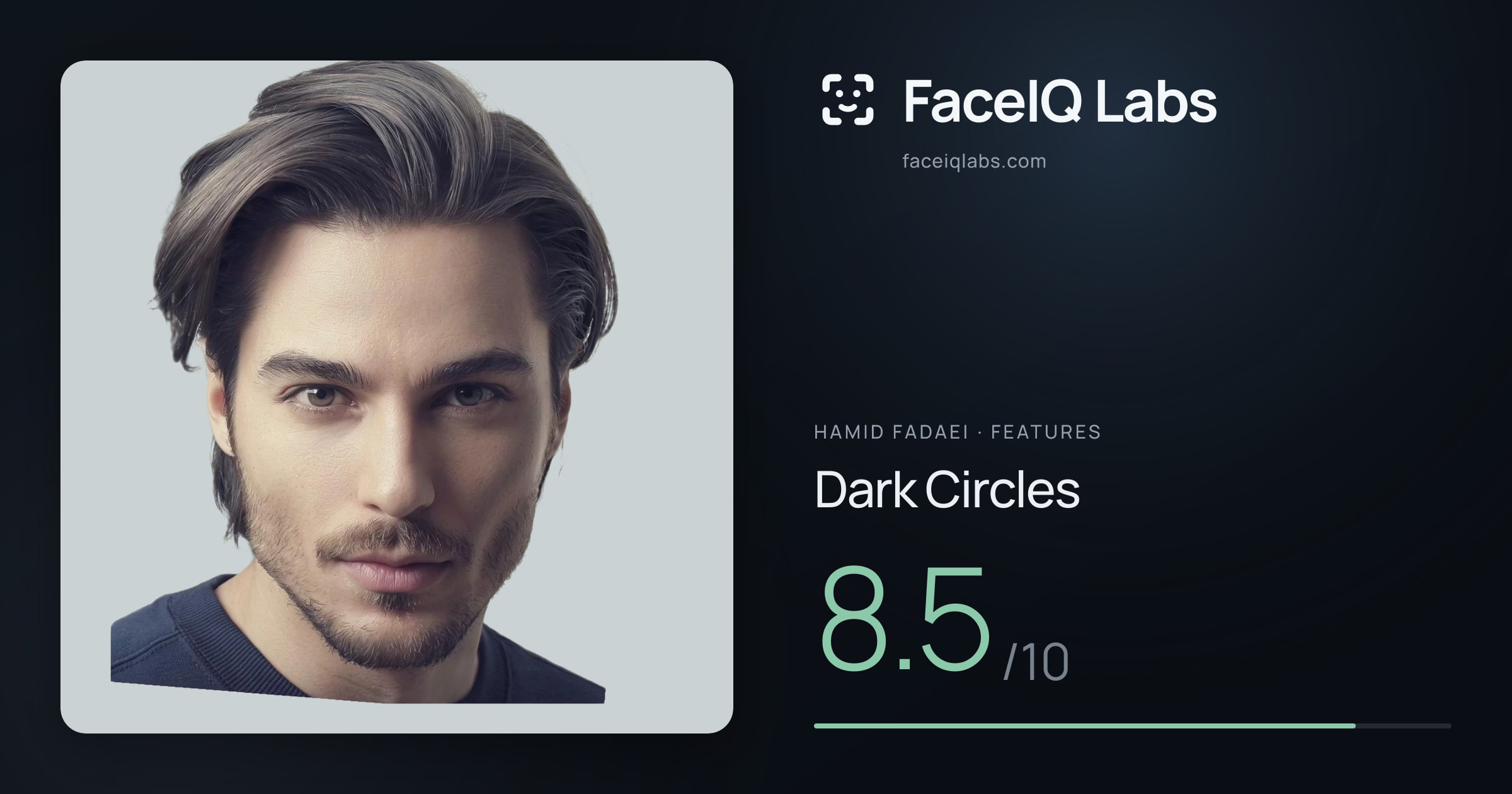 Hamid Fadaei Dark Circles: 8.5/10, drawn on the photo
