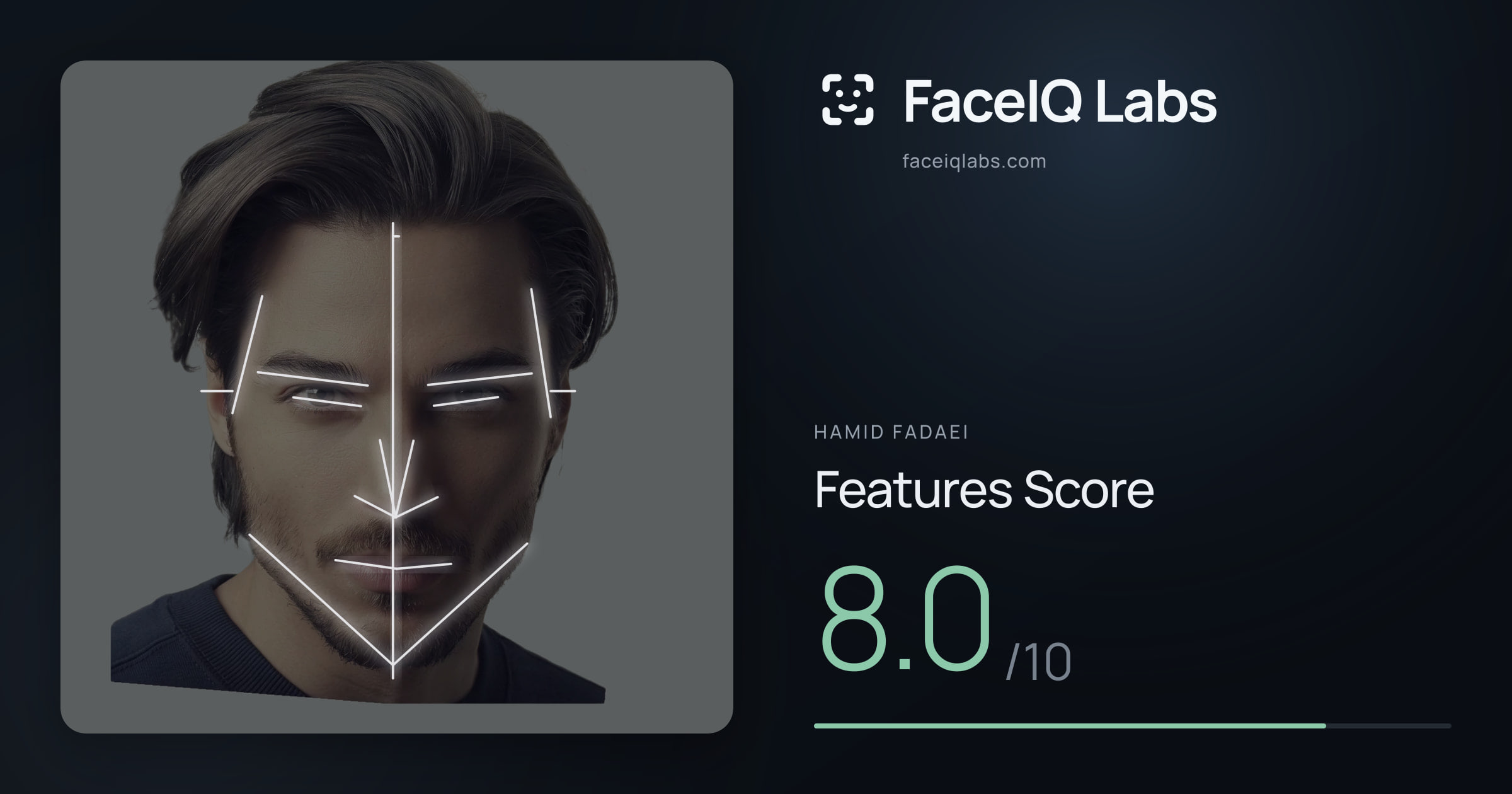 Hamid Fadaei Features: 8.0/10, with each assessment drawn on the photo