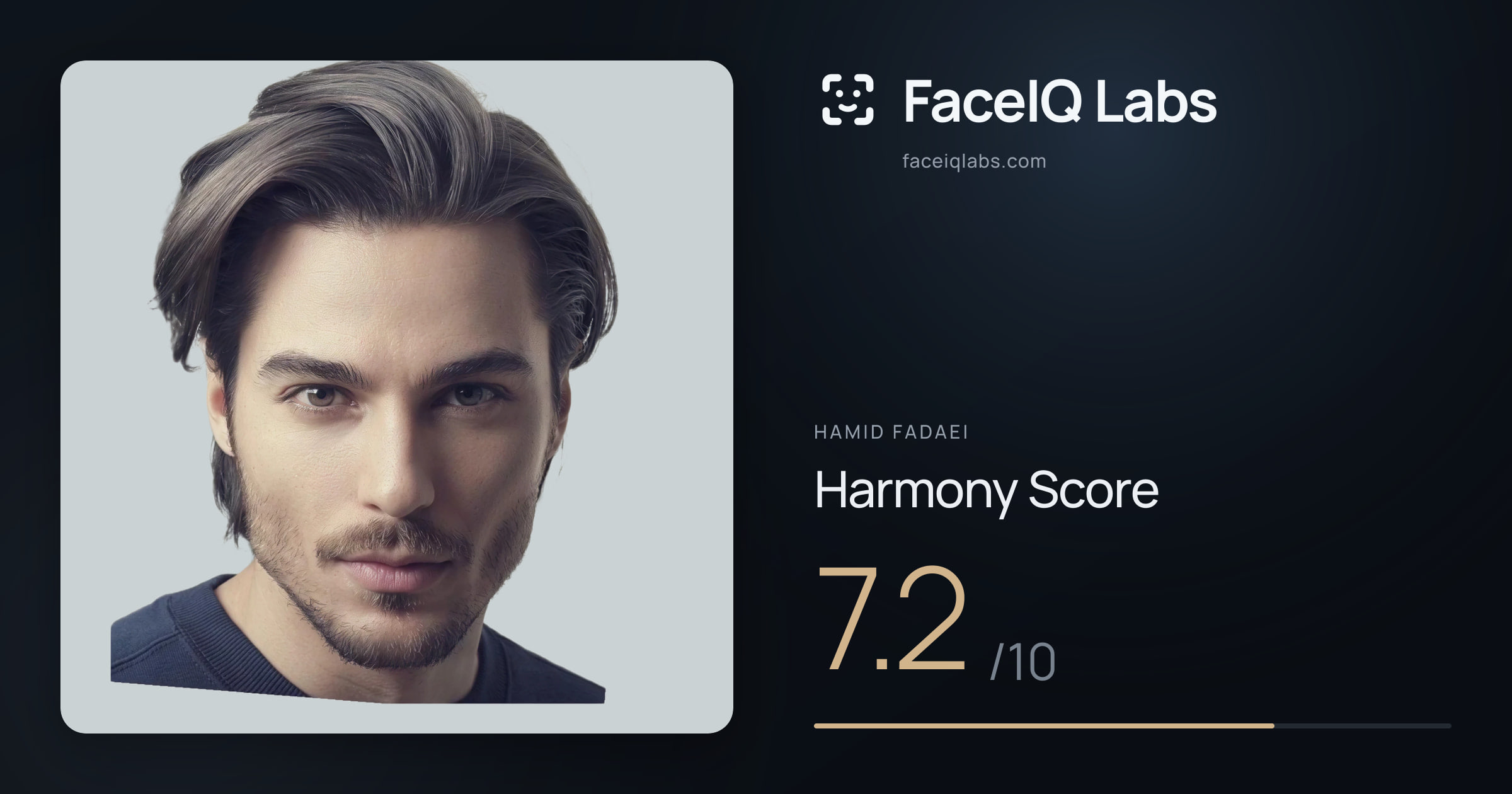 Hamid Fadaei Harmony: 7.2/10, with each ratio's score