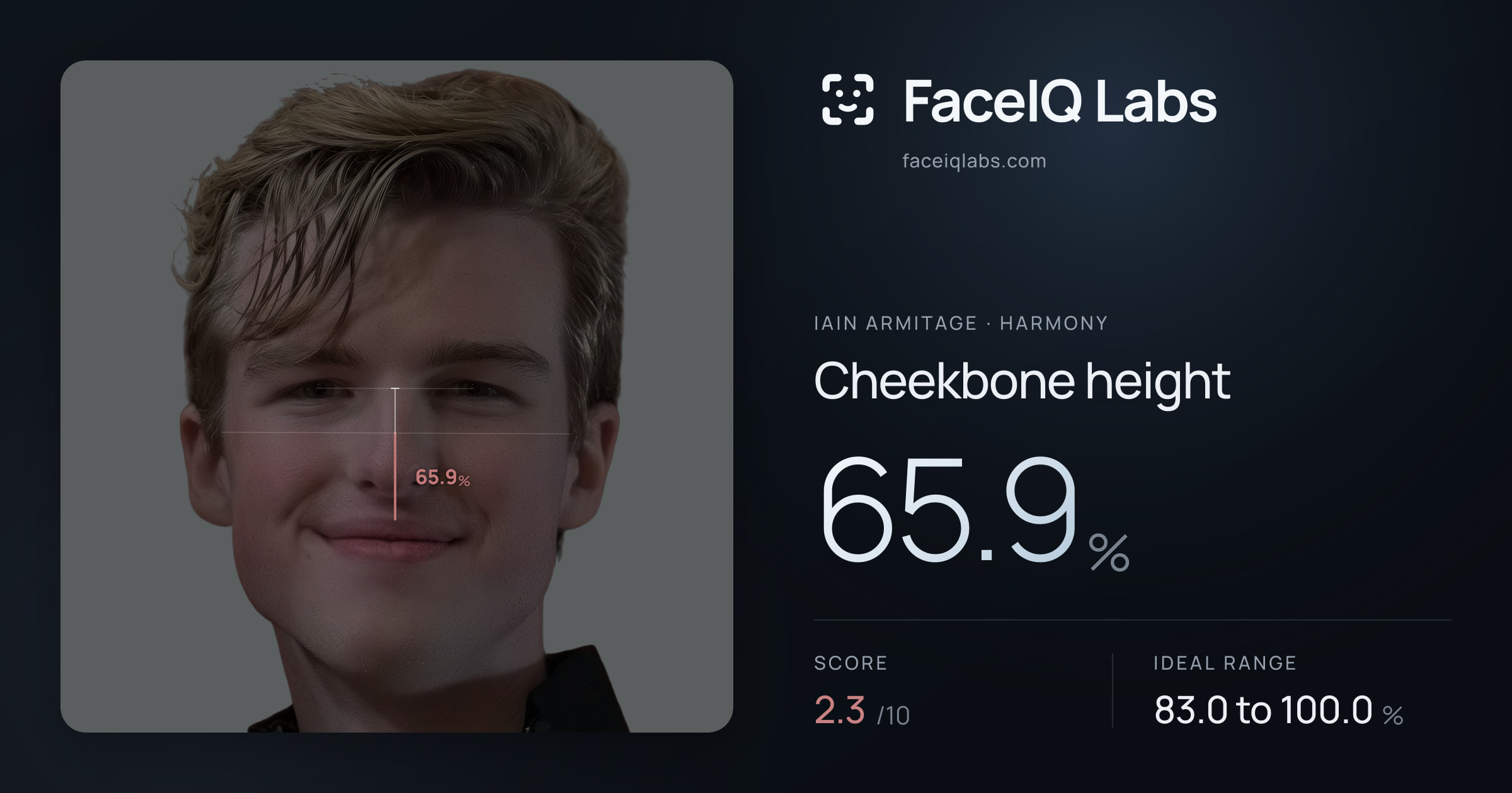 Iain Armitage Cheekbone height: 65.9%, drawn on the photo