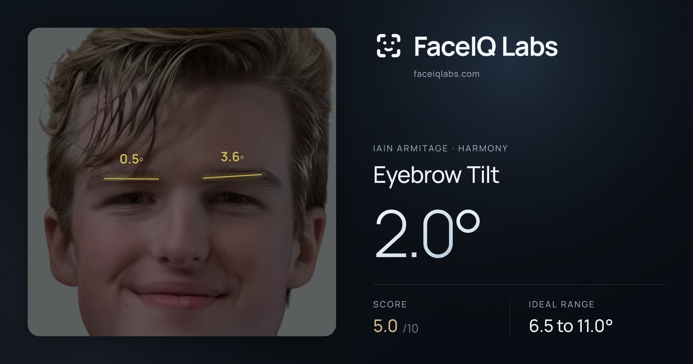 Iain Armitage Eyebrow Tilt: 2.0°, drawn on the photo