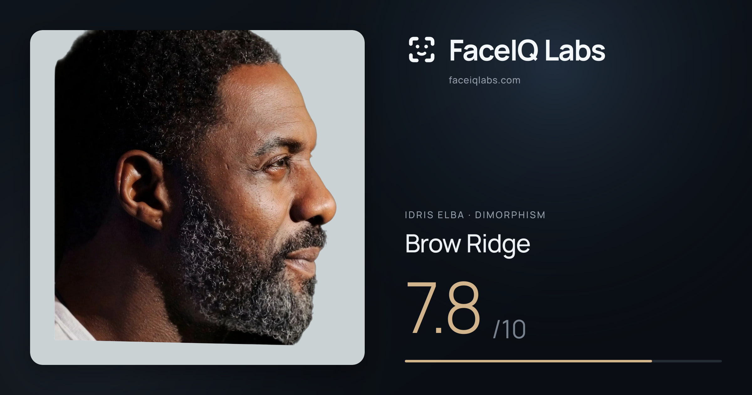 Idris Elba Brow Ridge: 7.8/10, drawn on the photo