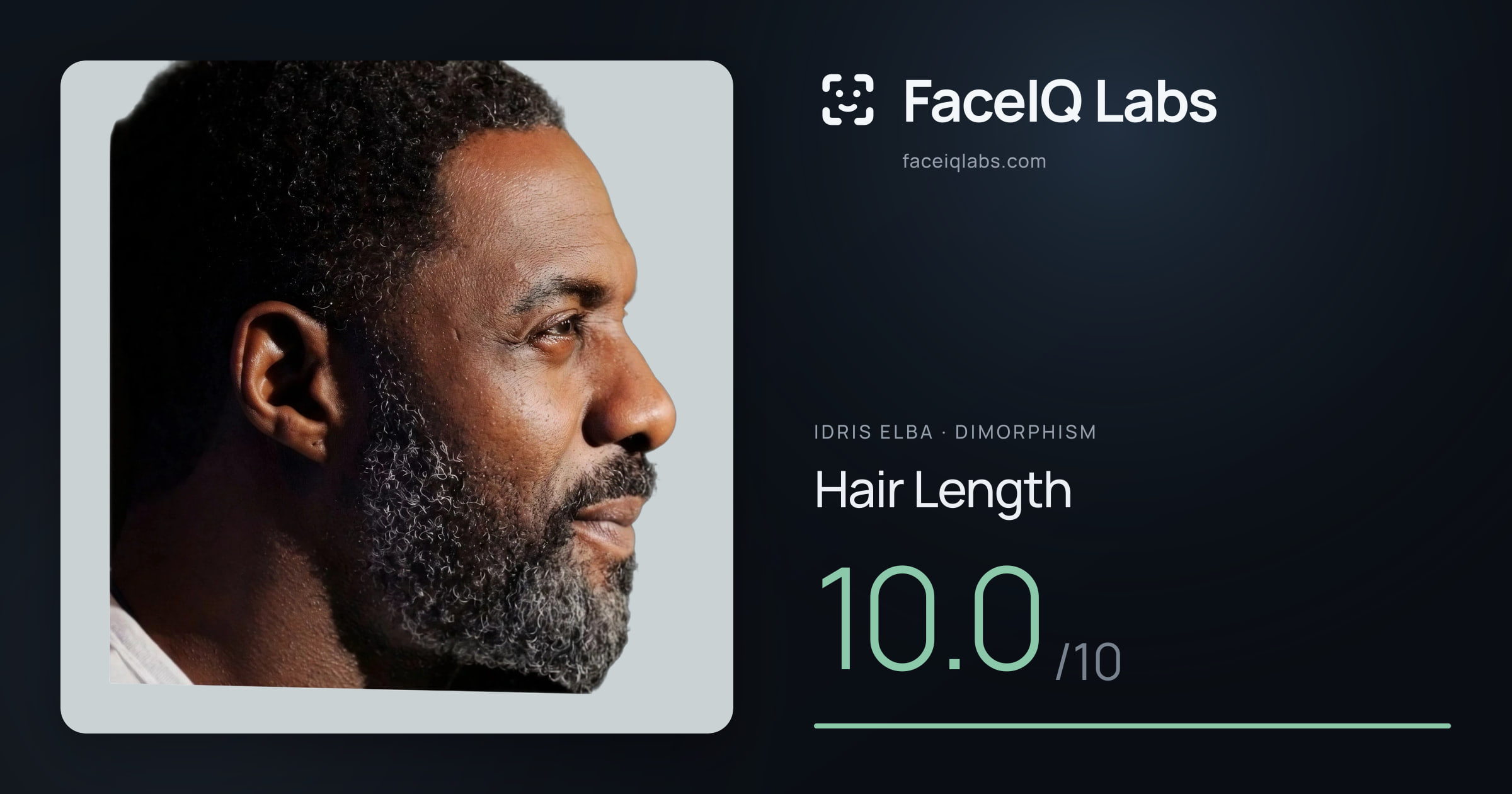 Idris Elba Hair Length: 10.0/10, drawn on the photo