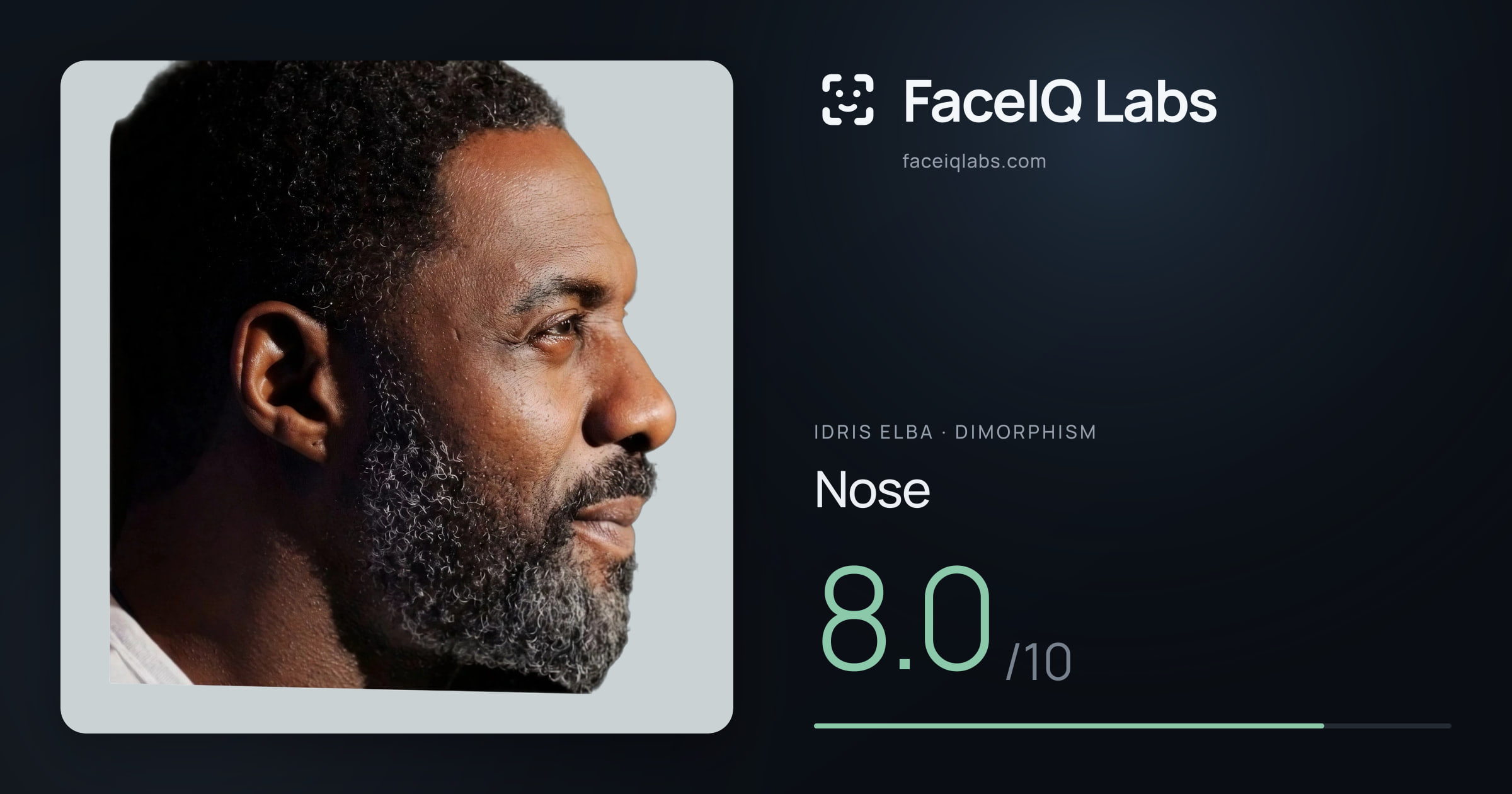 Idris Elba Nose: 8.0/10, drawn on the photo