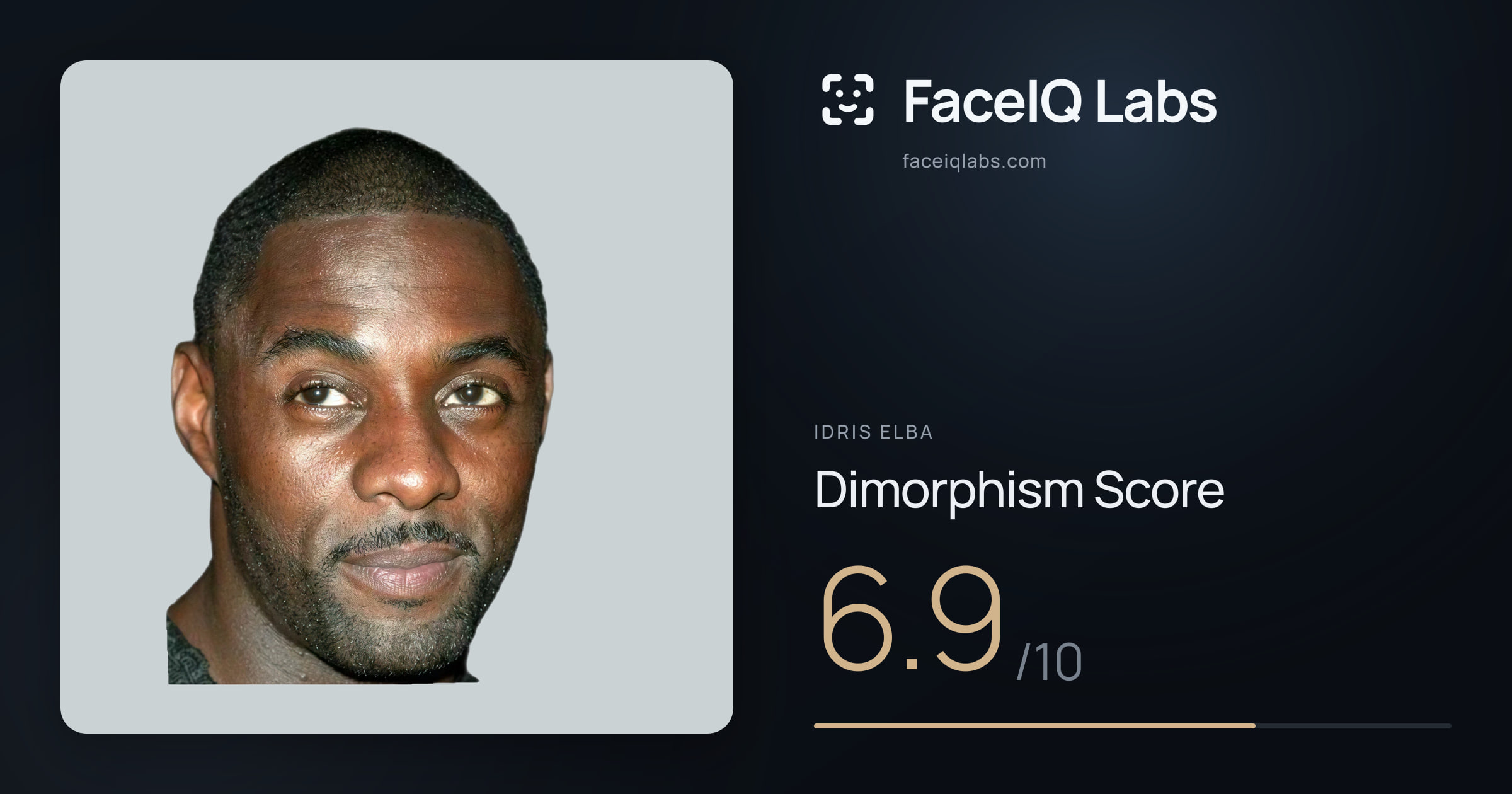 Idris Elba Dimorphism: 6.9/10, with each assessment drawn on the photo