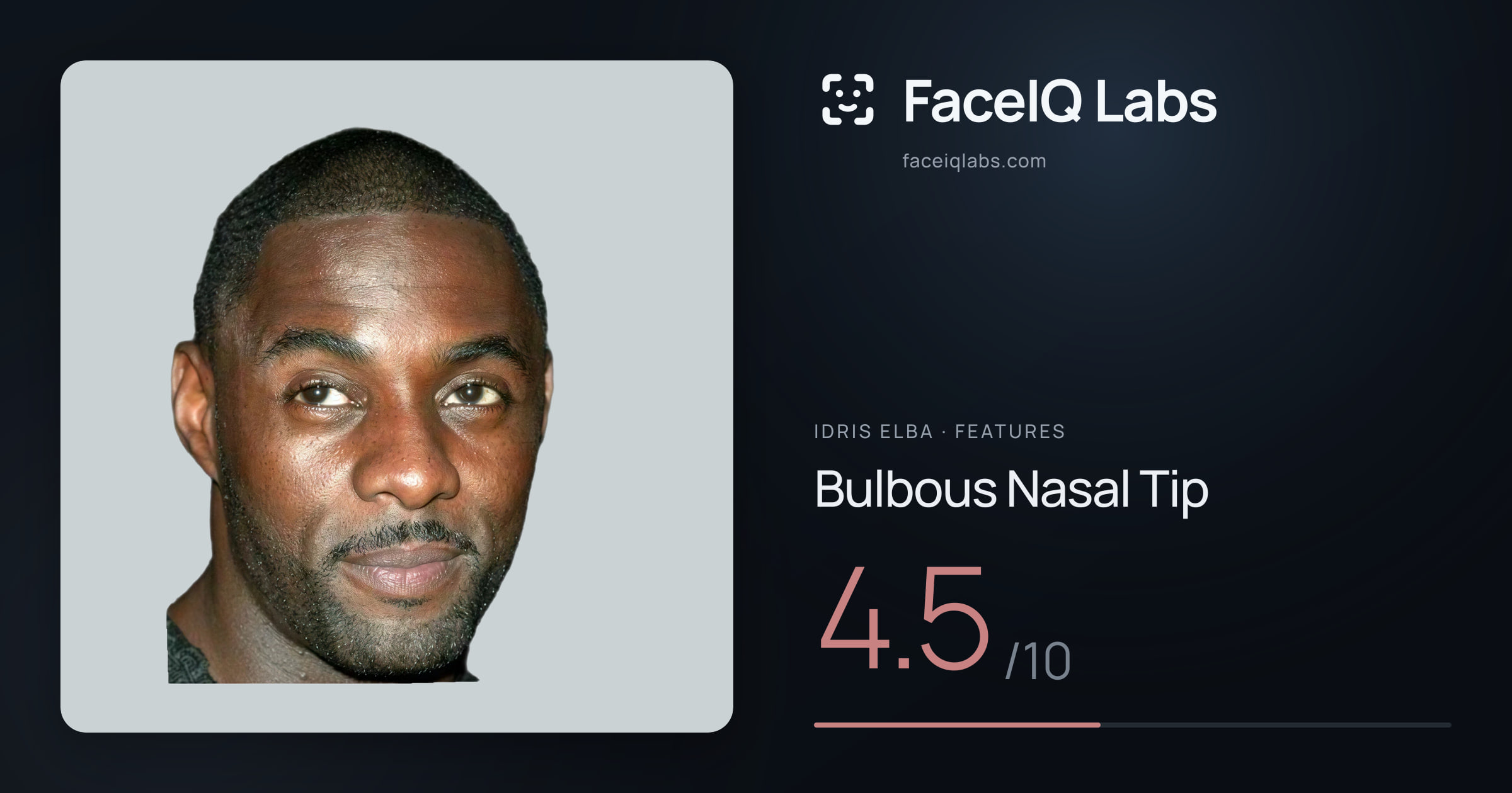 Idris Elba Bulbous Nasal Tip: 4.5/10, drawn on the photo