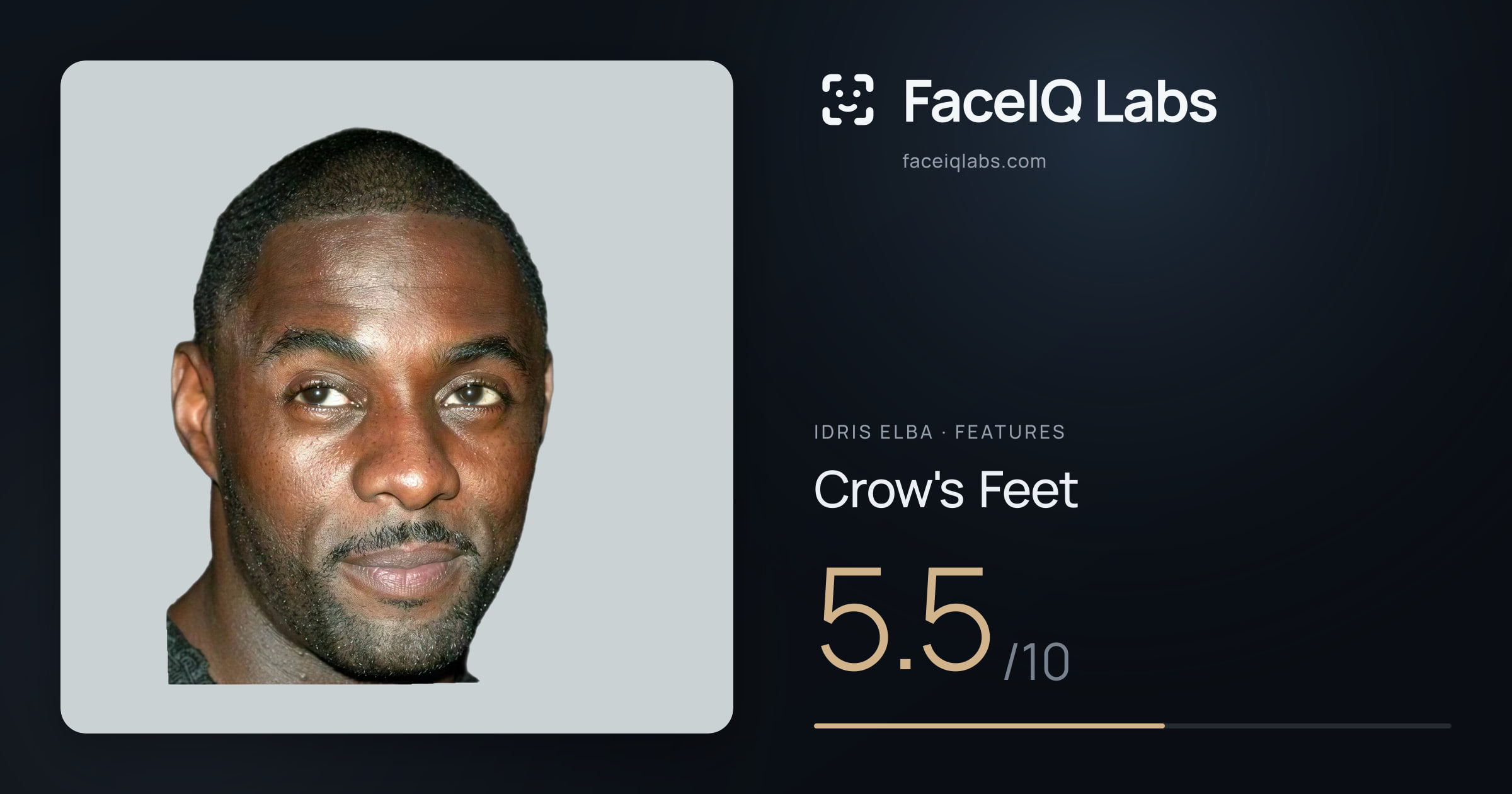 Idris Elba Crow's Feet: 5.5/10, drawn on the photo