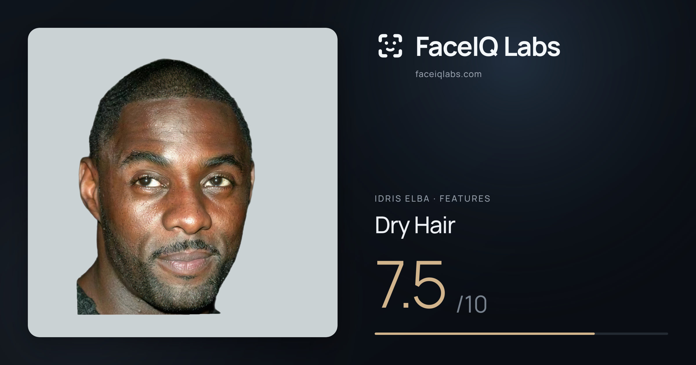 Idris Elba Dry Hair: 7.5/10, drawn on the photo