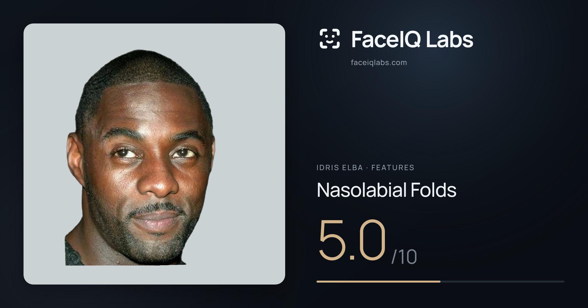 Idris Elba Nasolabial Folds: 5.0/10, drawn on the photo