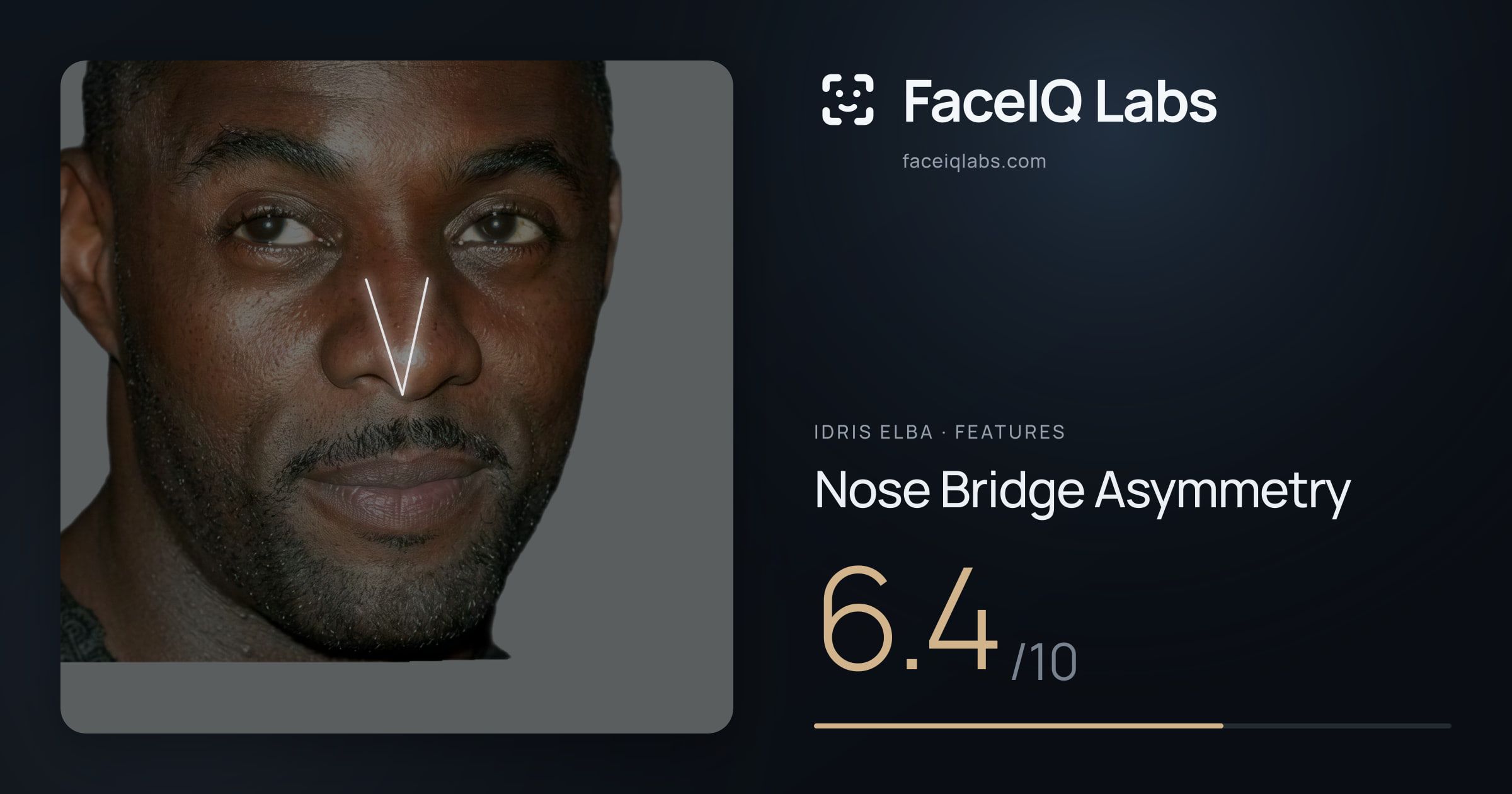 Idris Elba Nose Bridge Asymmetry: 6.4/10, drawn on the photo