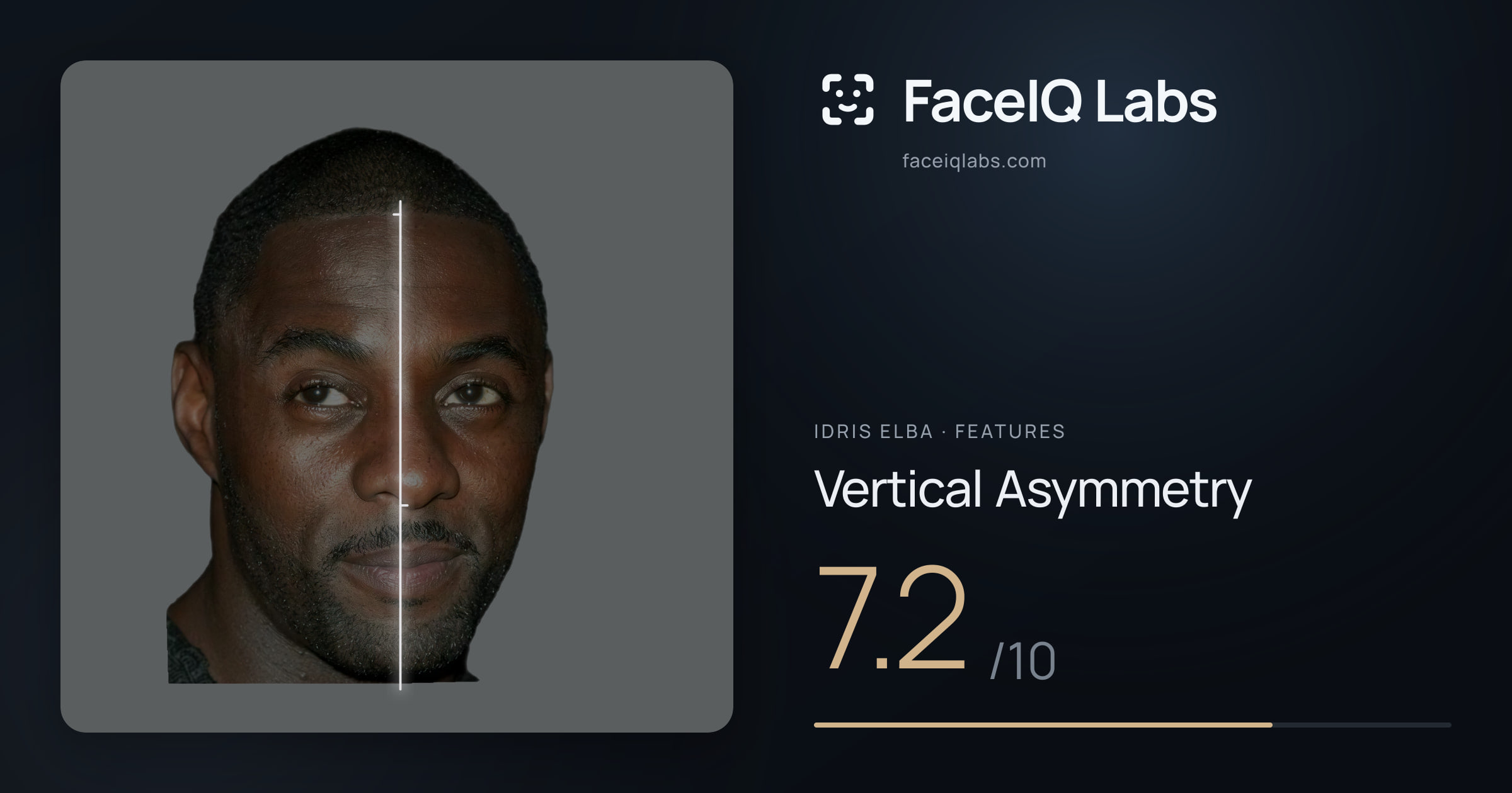 Idris Elba Vertical Asymmetry: 7.2/10, drawn on the photo