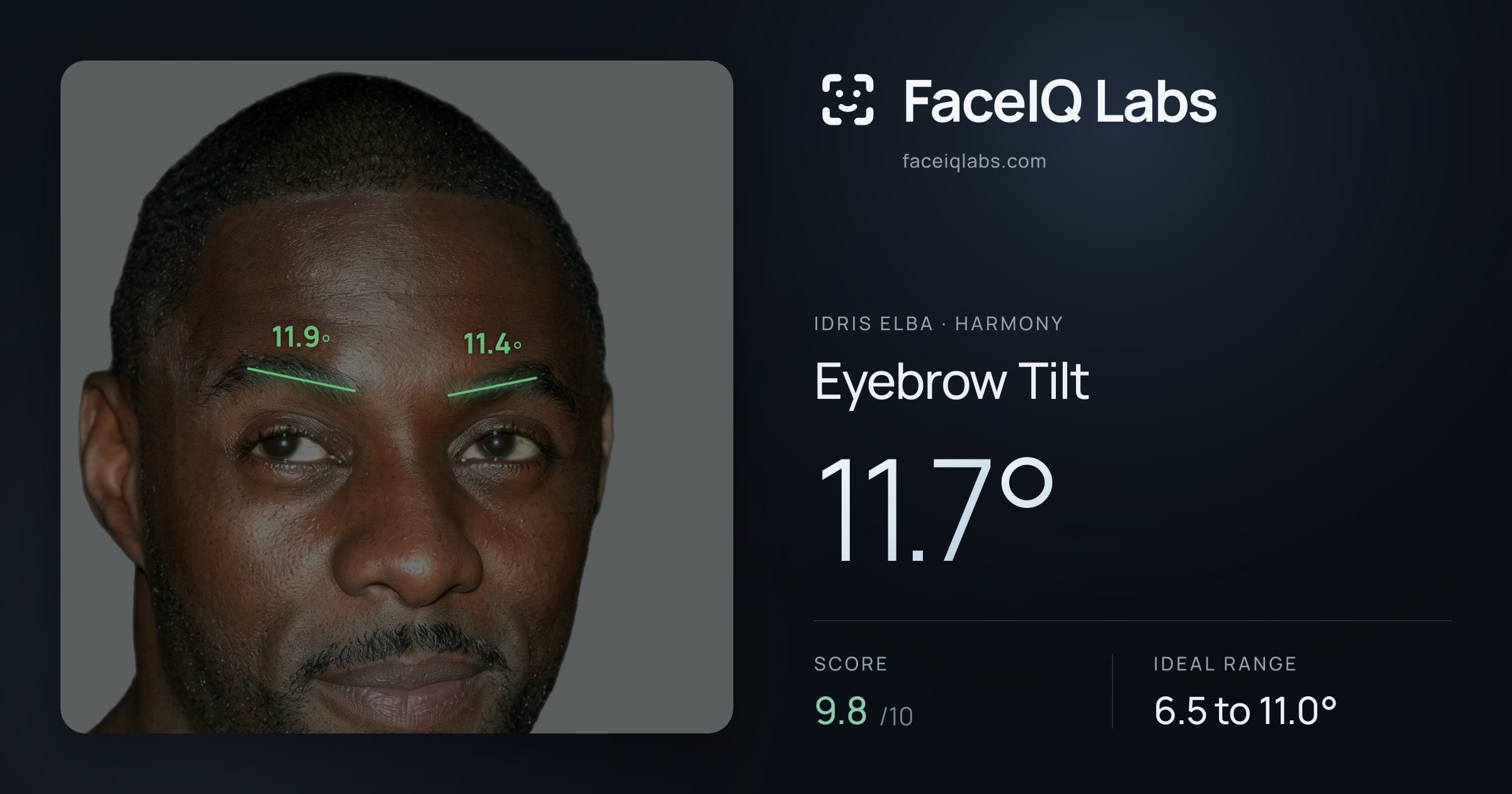 Idris Elba Eyebrow Tilt: 11.7°, drawn on the photo