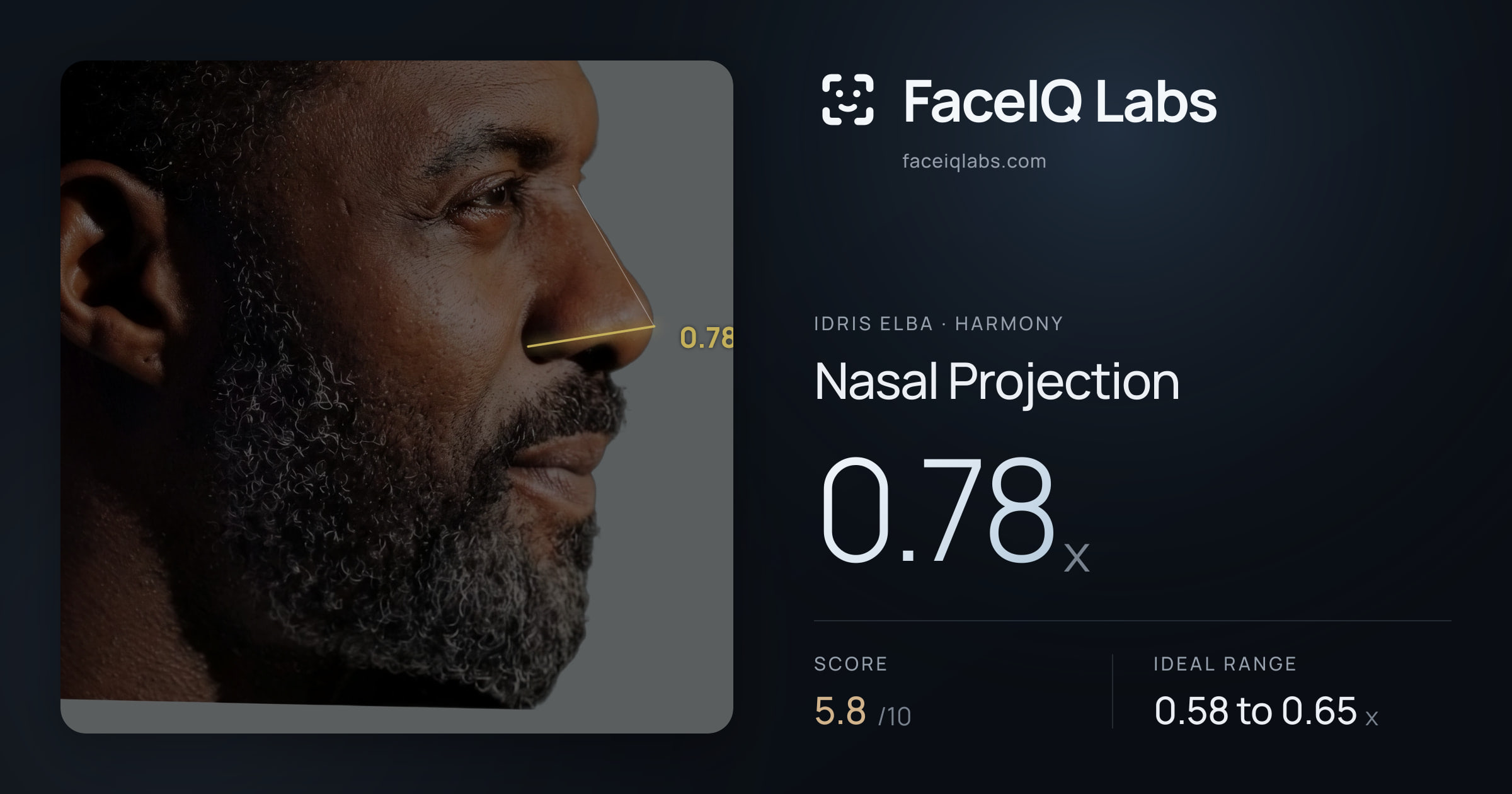 Idris Elba Nasal Projection: 0.78x, drawn on the photo