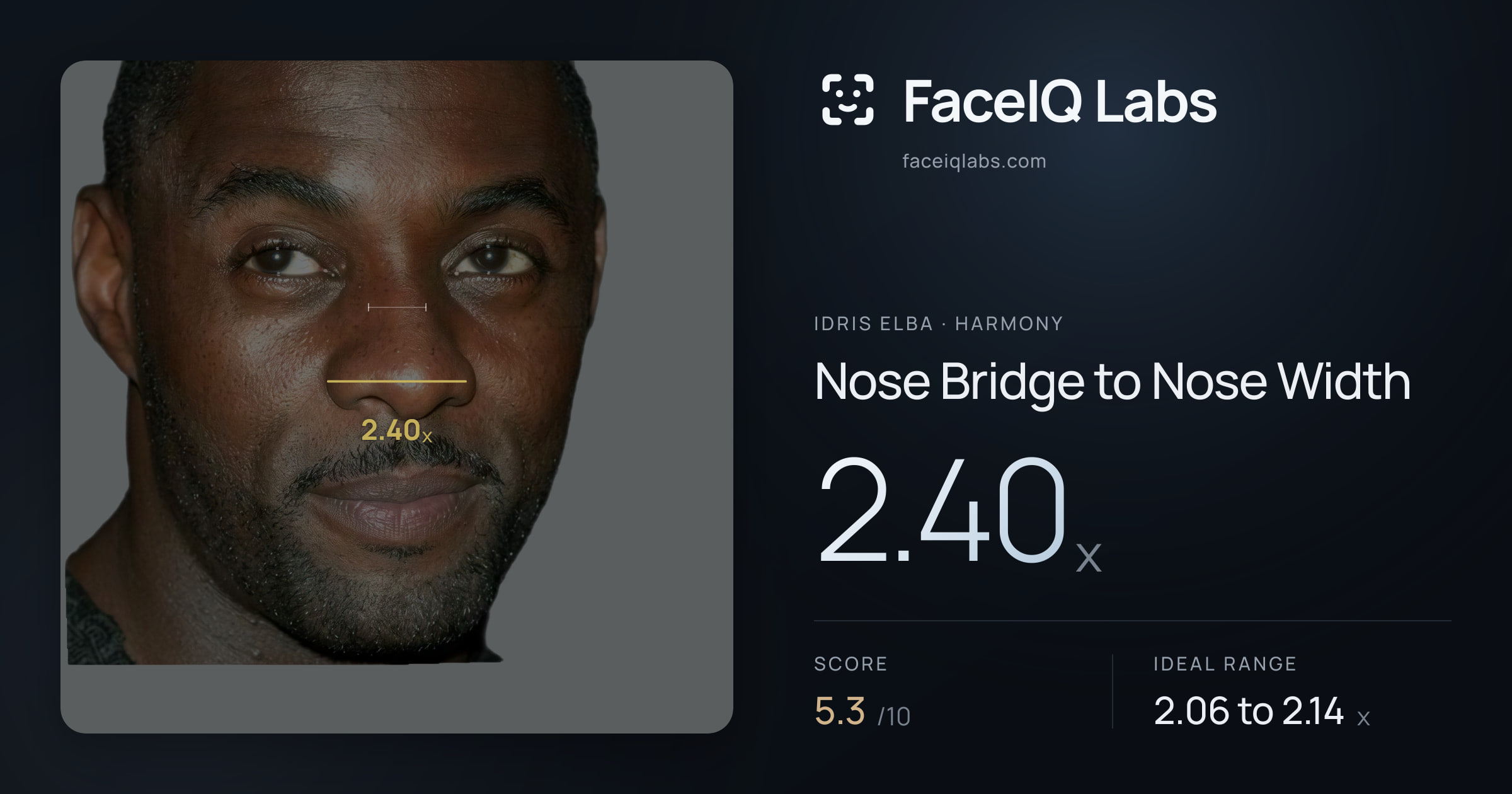 Idris Elba Nose Bridge to Nose Width: 2.40x, drawn on the photo