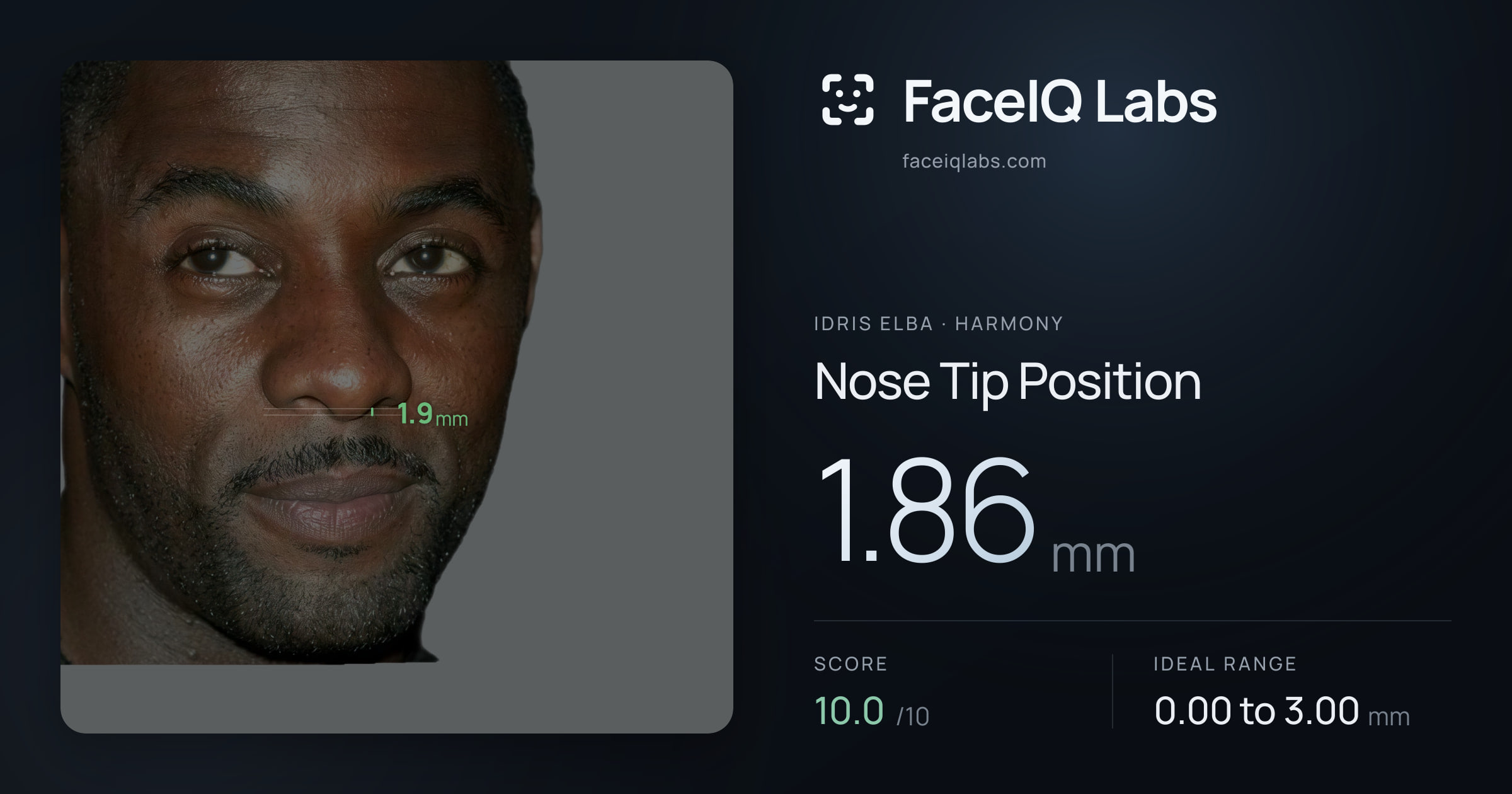 Idris Elba Nose Tip Position: 1.86mm, drawn on the photo