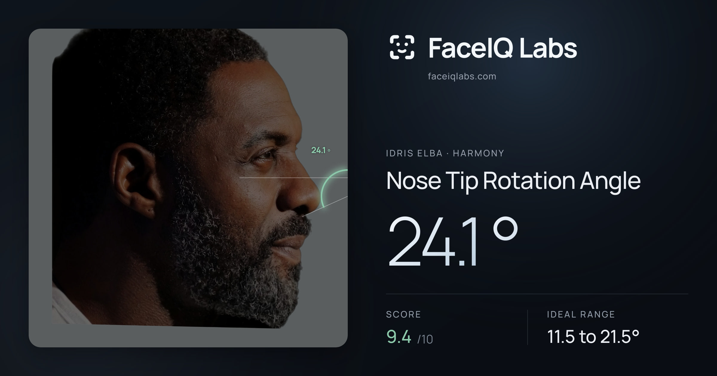 Idris Elba Nose Tip Rotation Angle: 24.1°, drawn on the photo