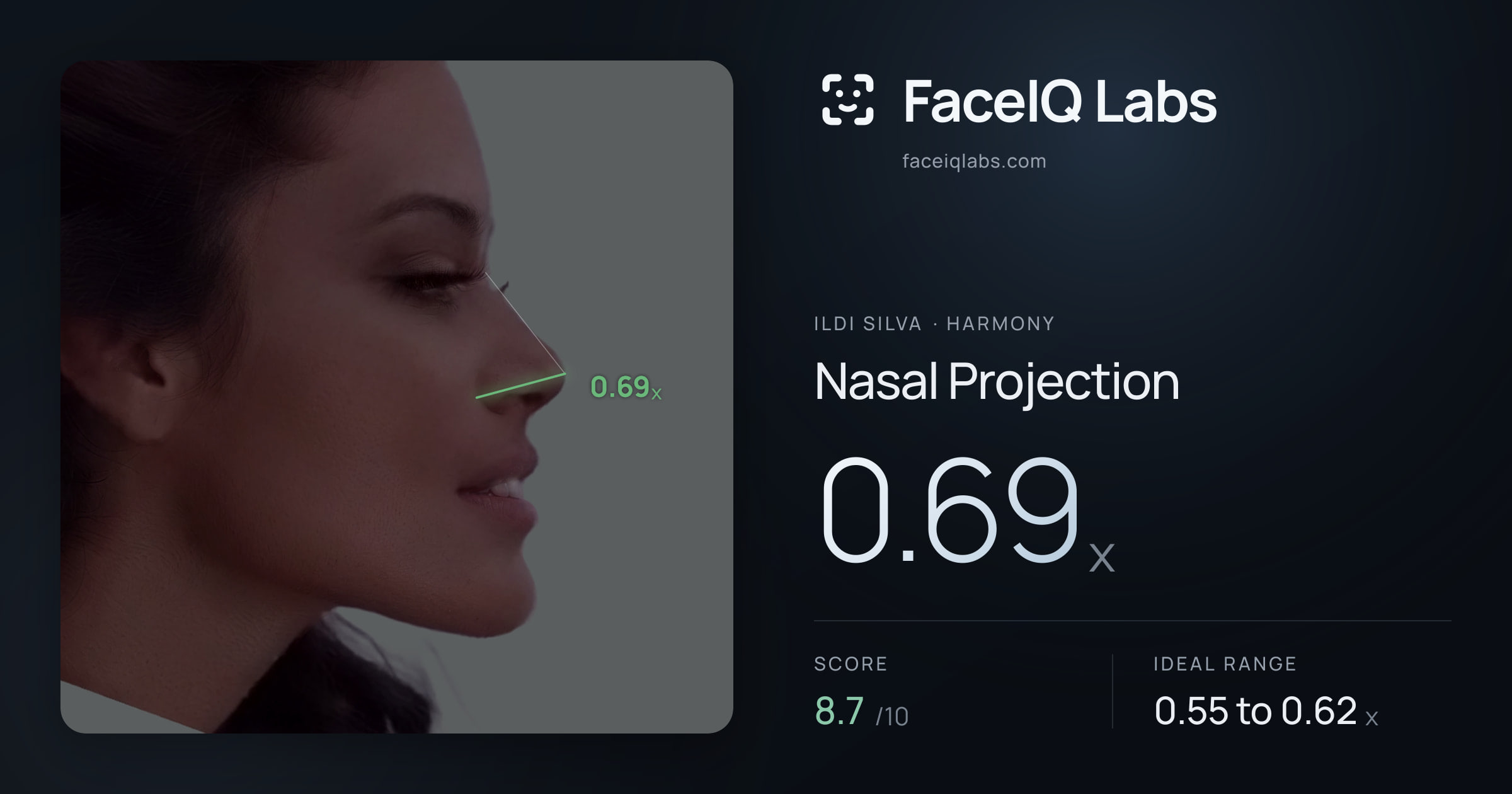Ildi Silva Nasal Projection: 0.69x, drawn on the photo