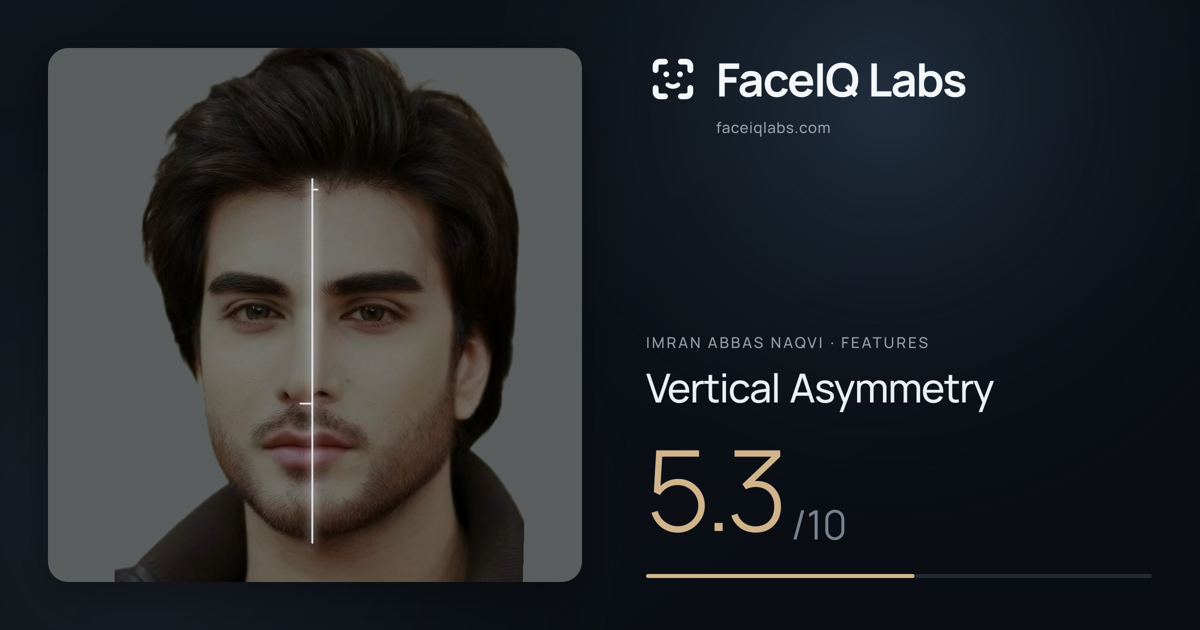Imran Abbas Naqvi Vertical Asymmetry: 5.3/10, drawn on the photo