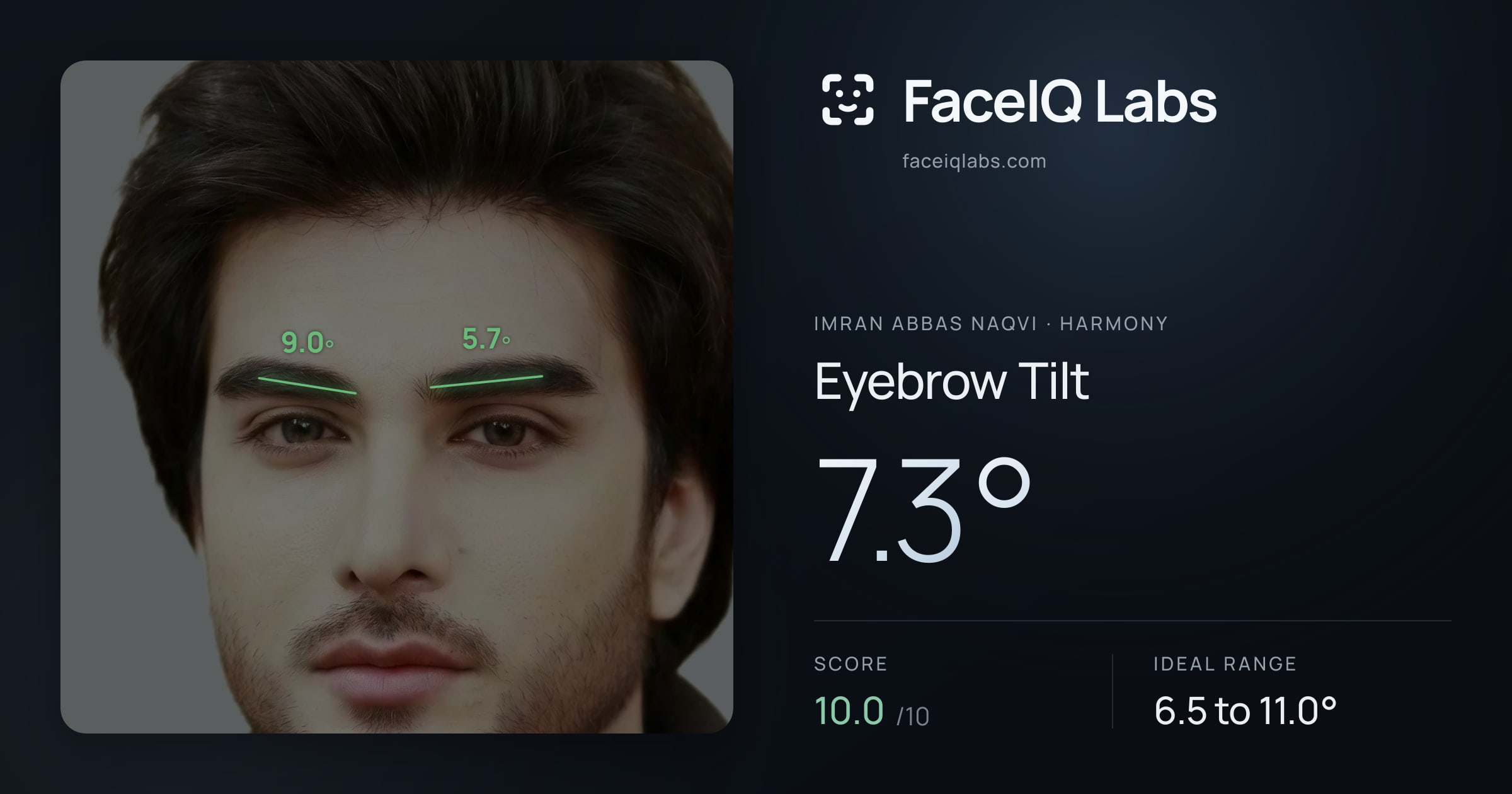 Imran Abbas Naqvi Eyebrow Tilt: 7.3°, drawn on the photo