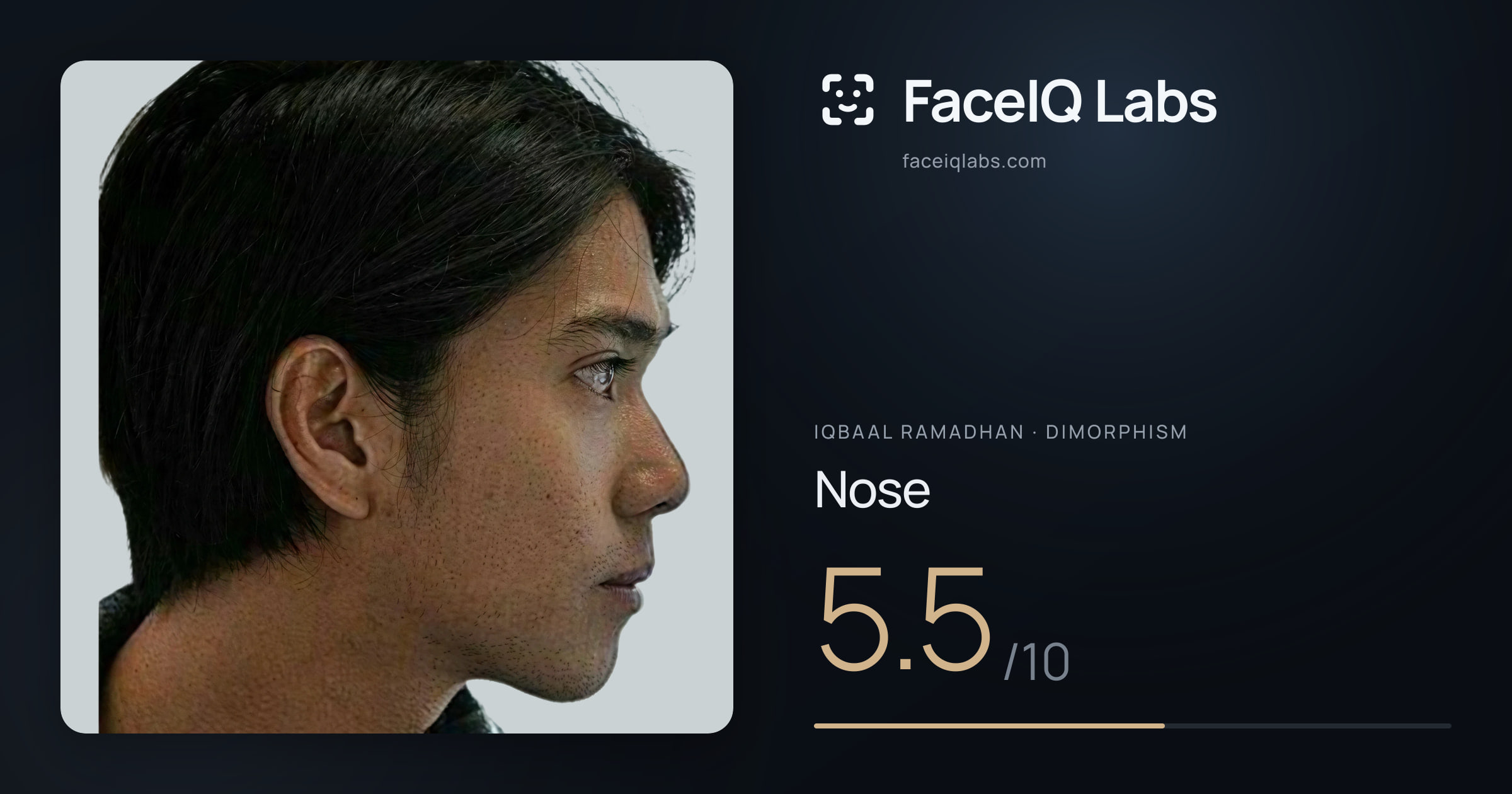 Iqbaal Ramadhan Nose: 5.5/10, drawn on the photo