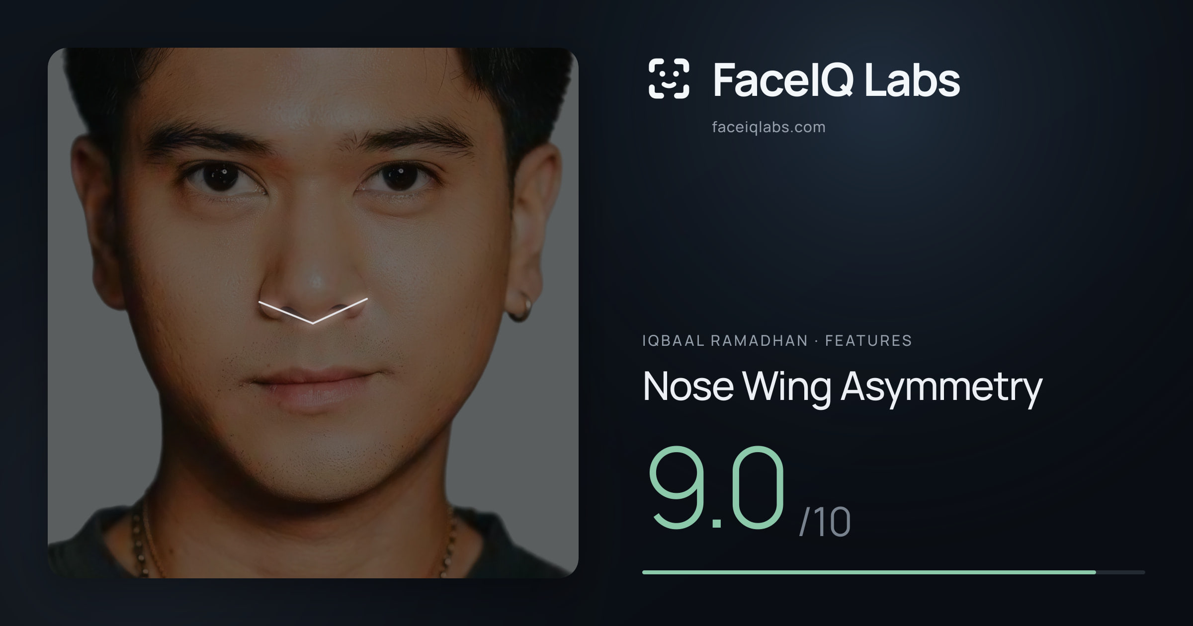 Iqbaal Ramadhan Nose Wing Asymmetry: 9.0/10, drawn on the photo