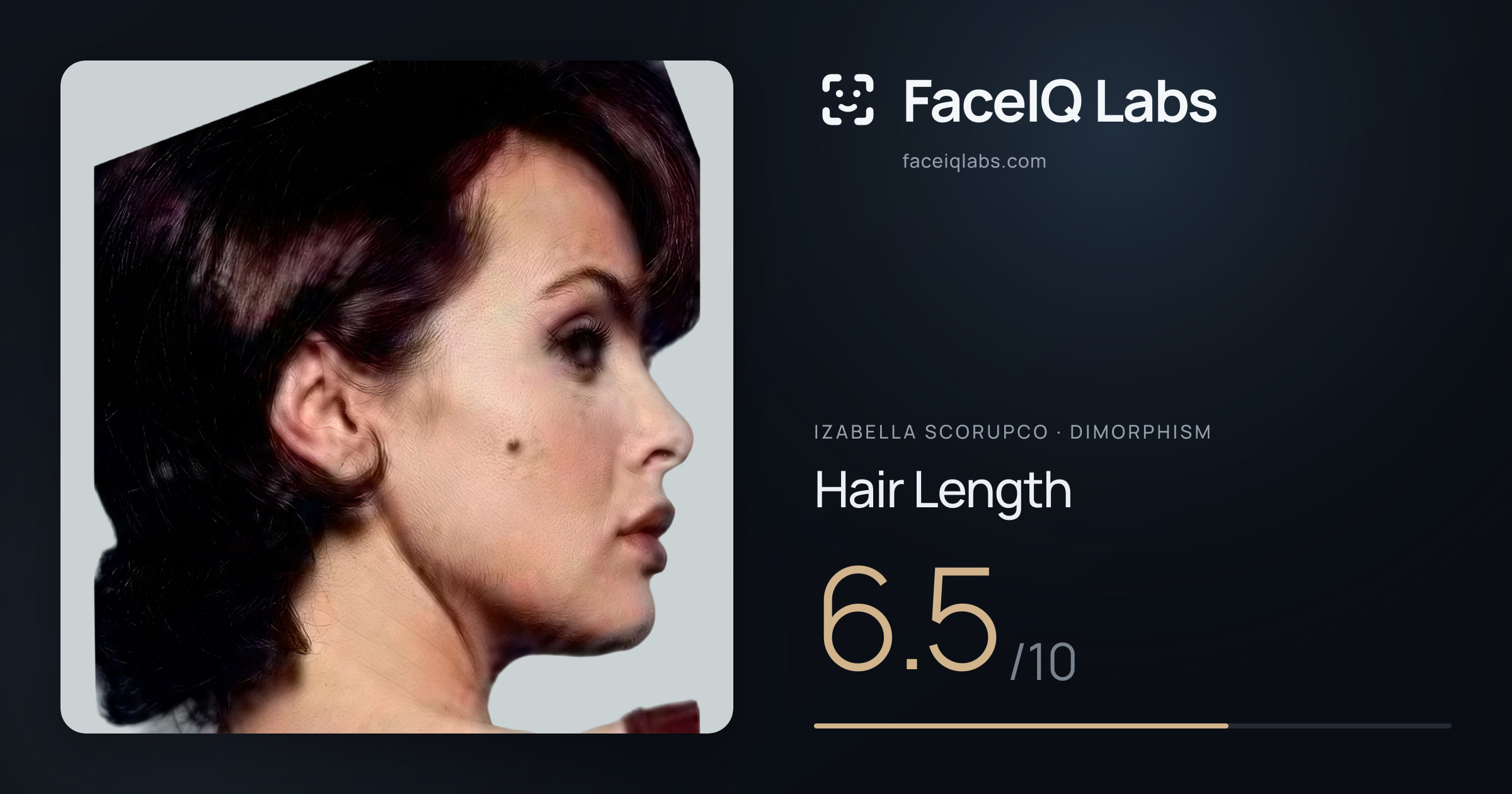 Izabella Scorupco Hair Length: 6.5/10, drawn on the photo
