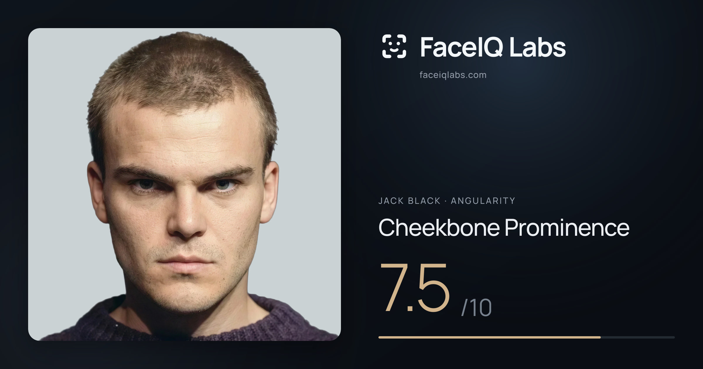 Jack Black Cheekbone Prominence: 7.5/10, drawn on the photo