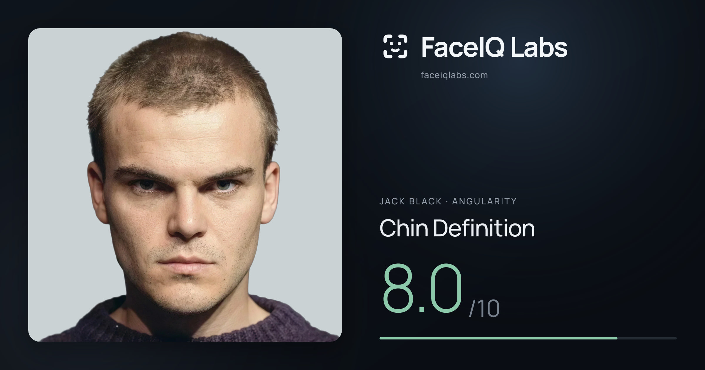 Jack Black Chin Definition: 8.0/10, drawn on the photo
