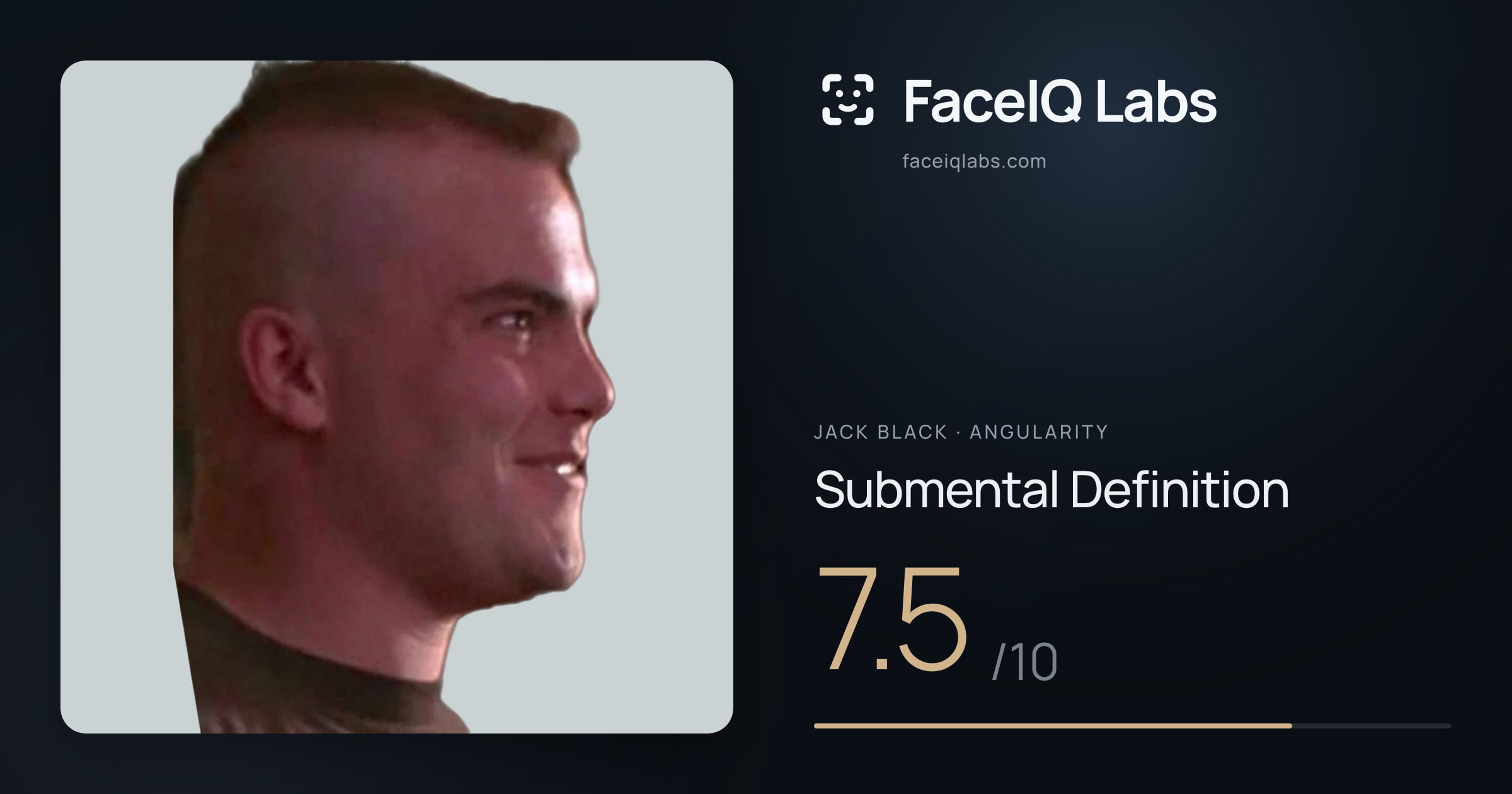 Jack Black Submental Definition: 7.5/10, drawn on the photo