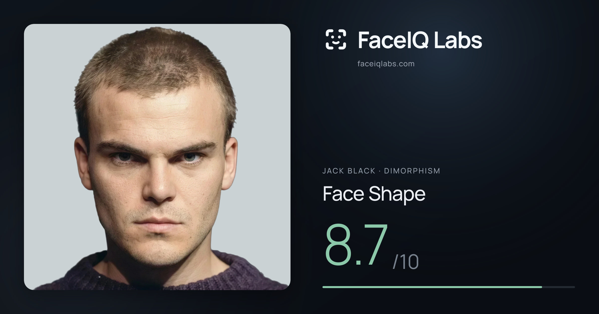 Jack Black Face Shape: 8.7/10, drawn on the photo