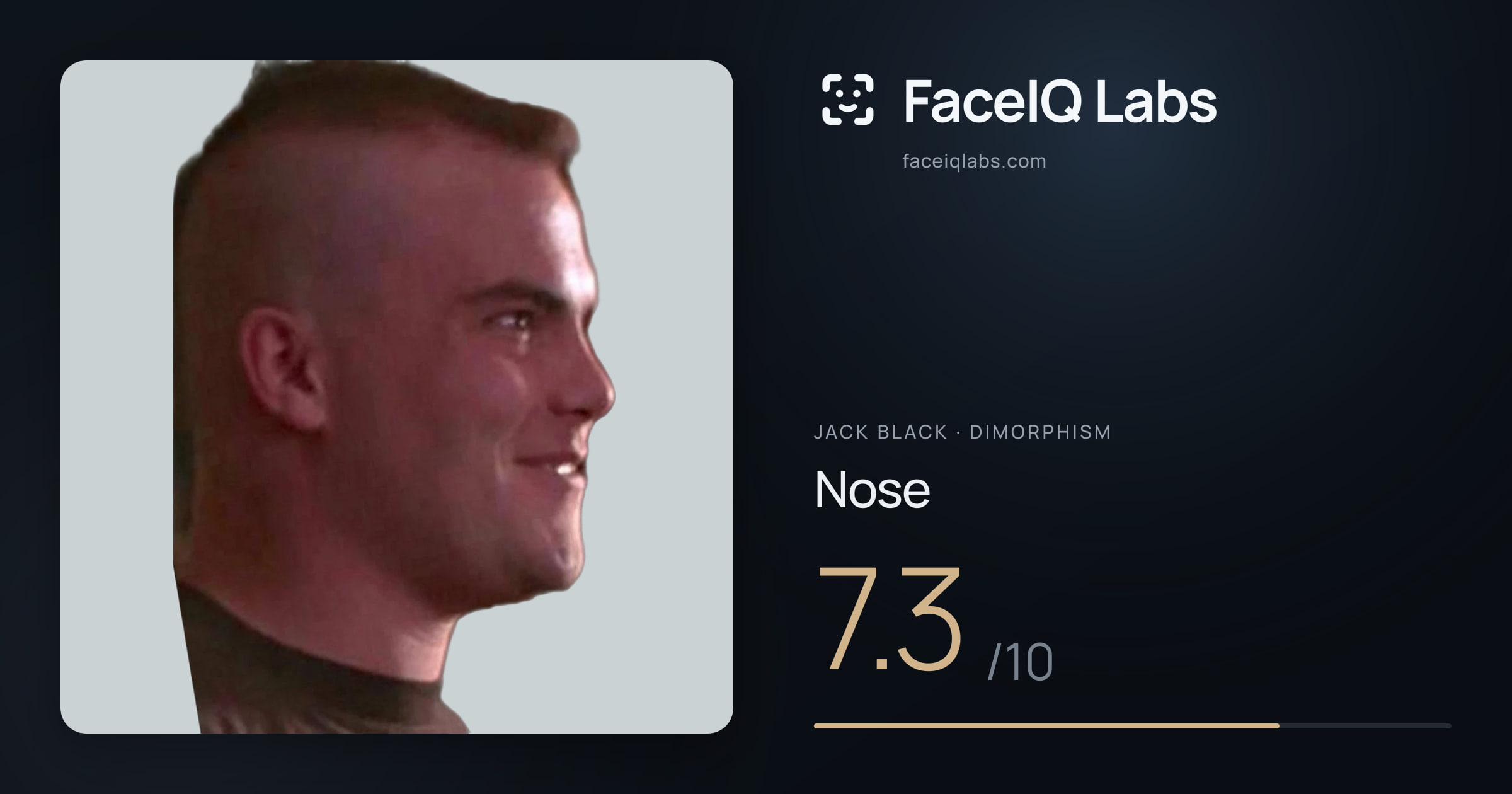 Jack Black Nose: 7.3/10, drawn on the photo