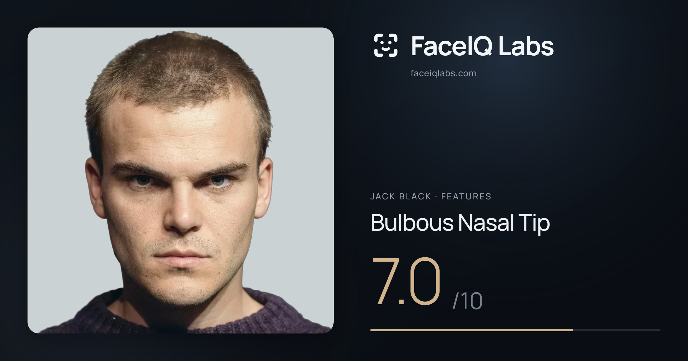 Jack Black Bulbous Nasal Tip: 7.0/10, drawn on the photo